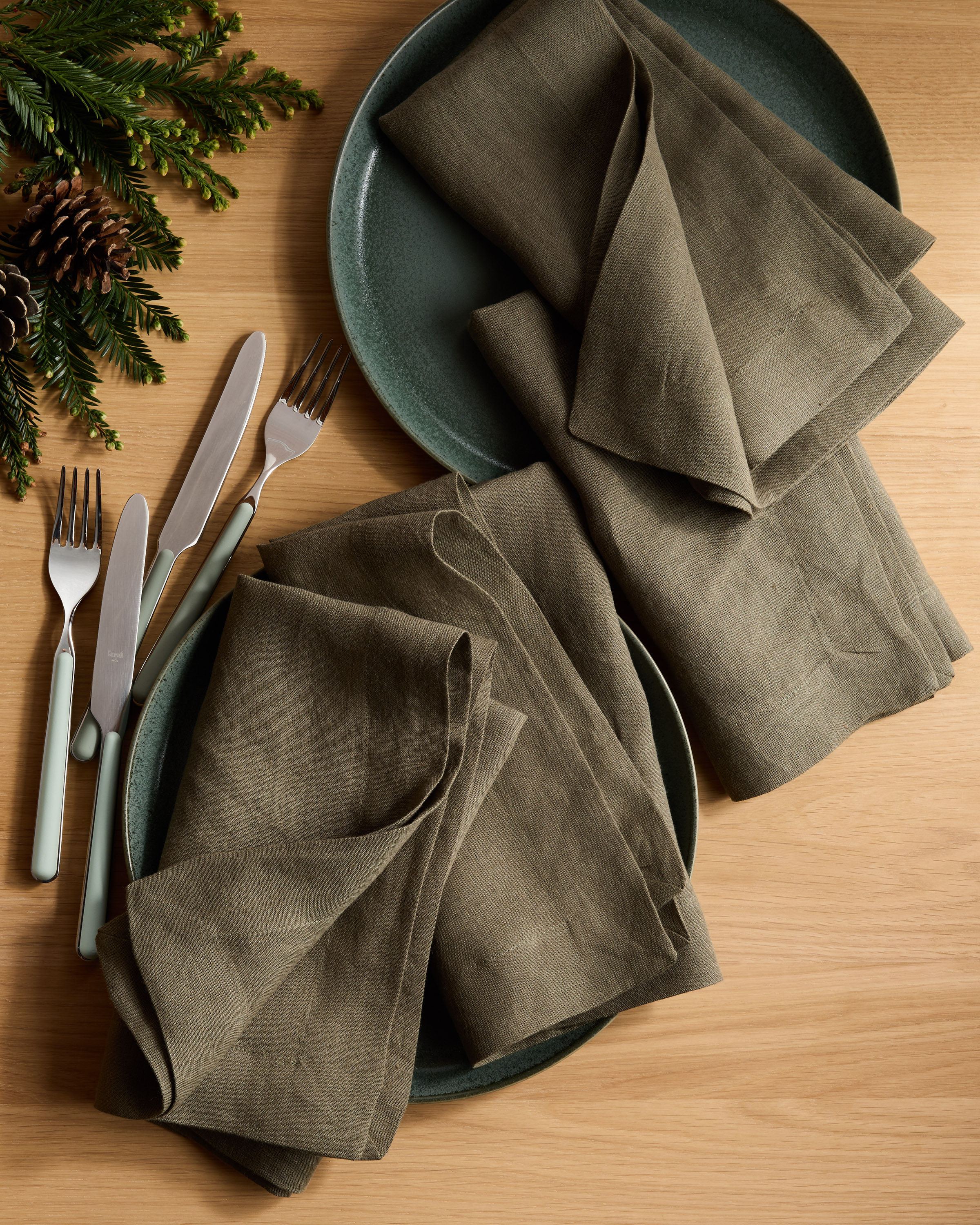 European Linen Wide-Hem Napkins (Set of 12)