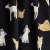 Puppy Parade