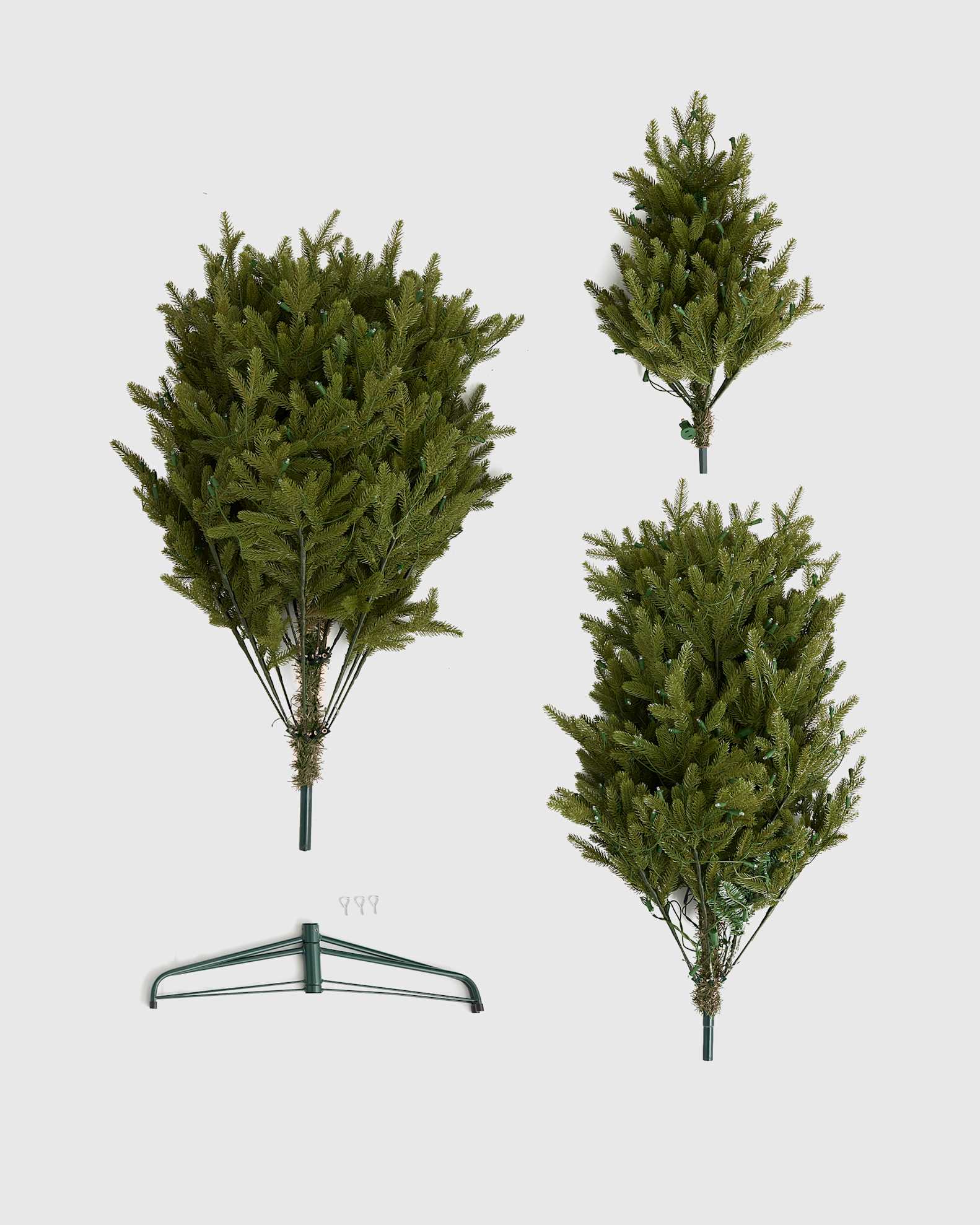 Fraser Fir Christmas Tree