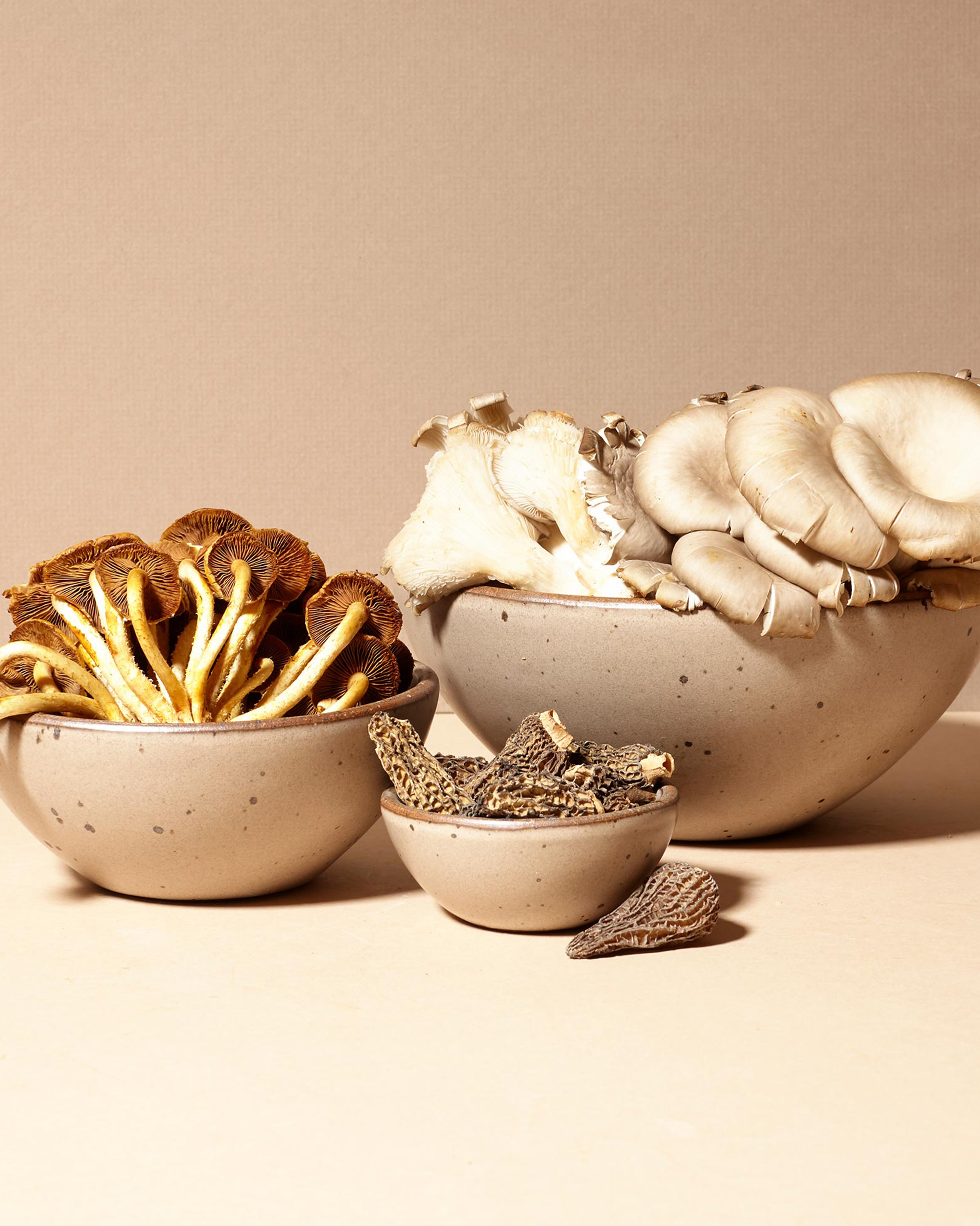 Breakfast Bowl - Set of 4 - Morel 1