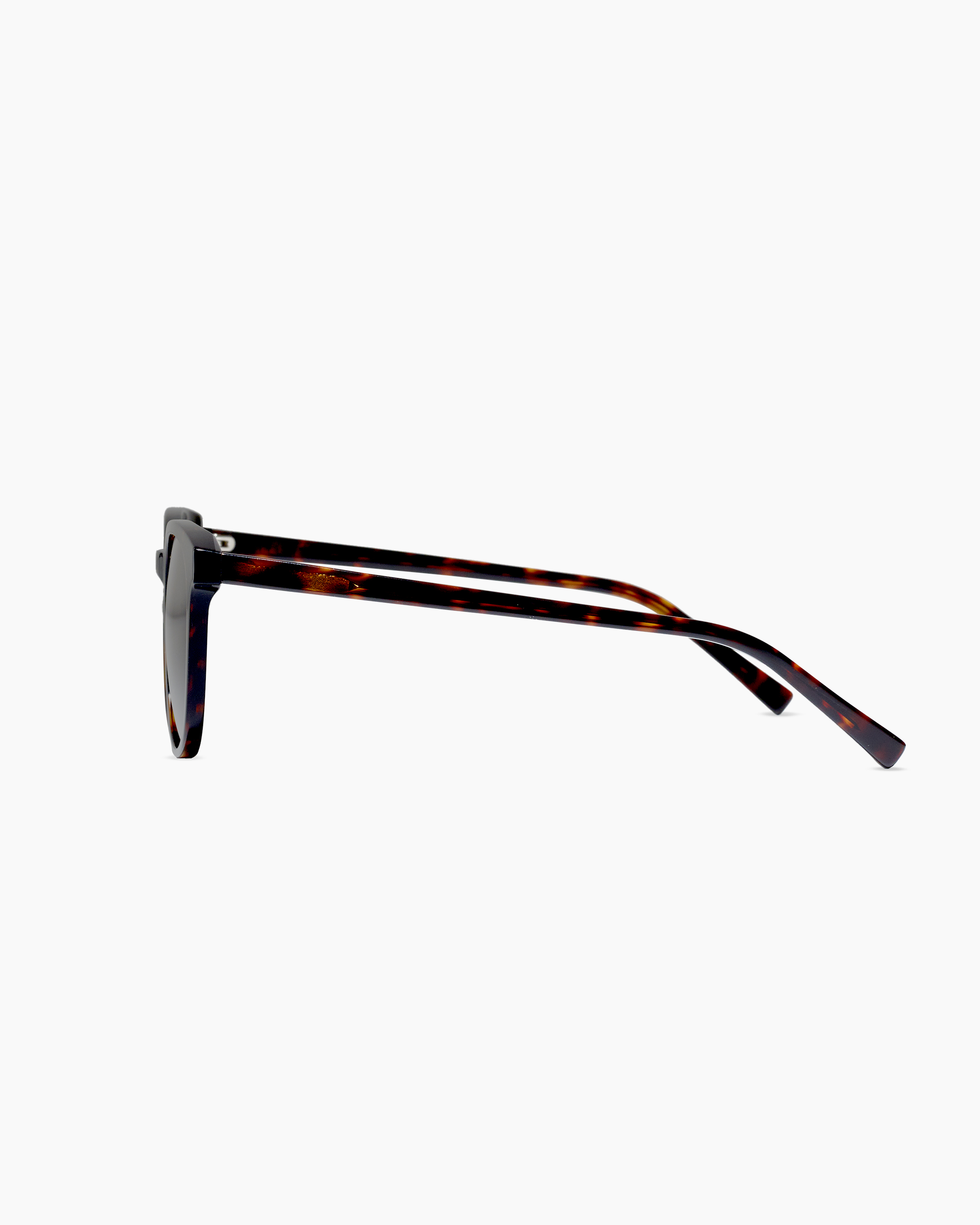 Charlie Polarized Acetate Sunglasses in Tortoise with Brown lens