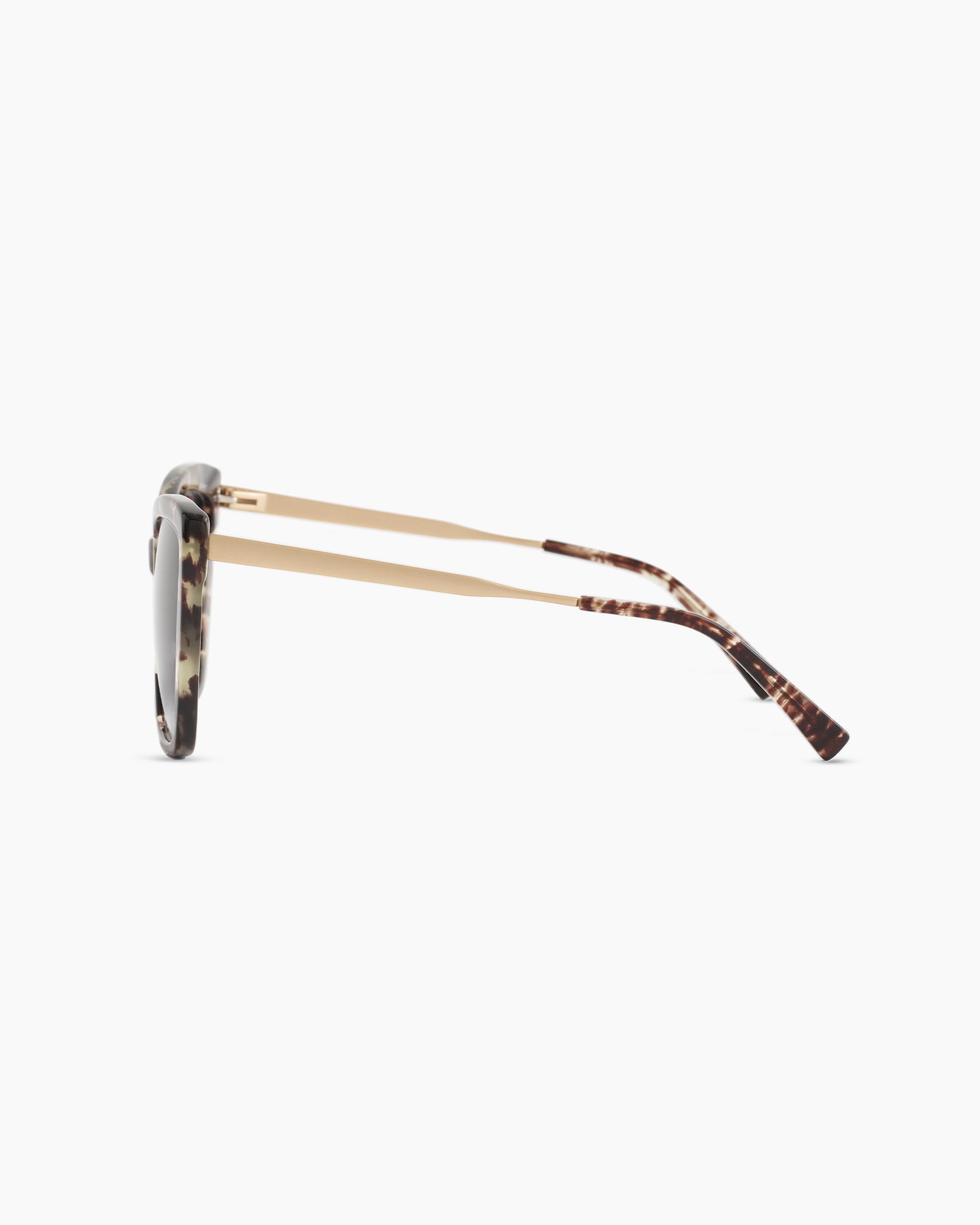 ISHARA-SAND- Tortoise 177564