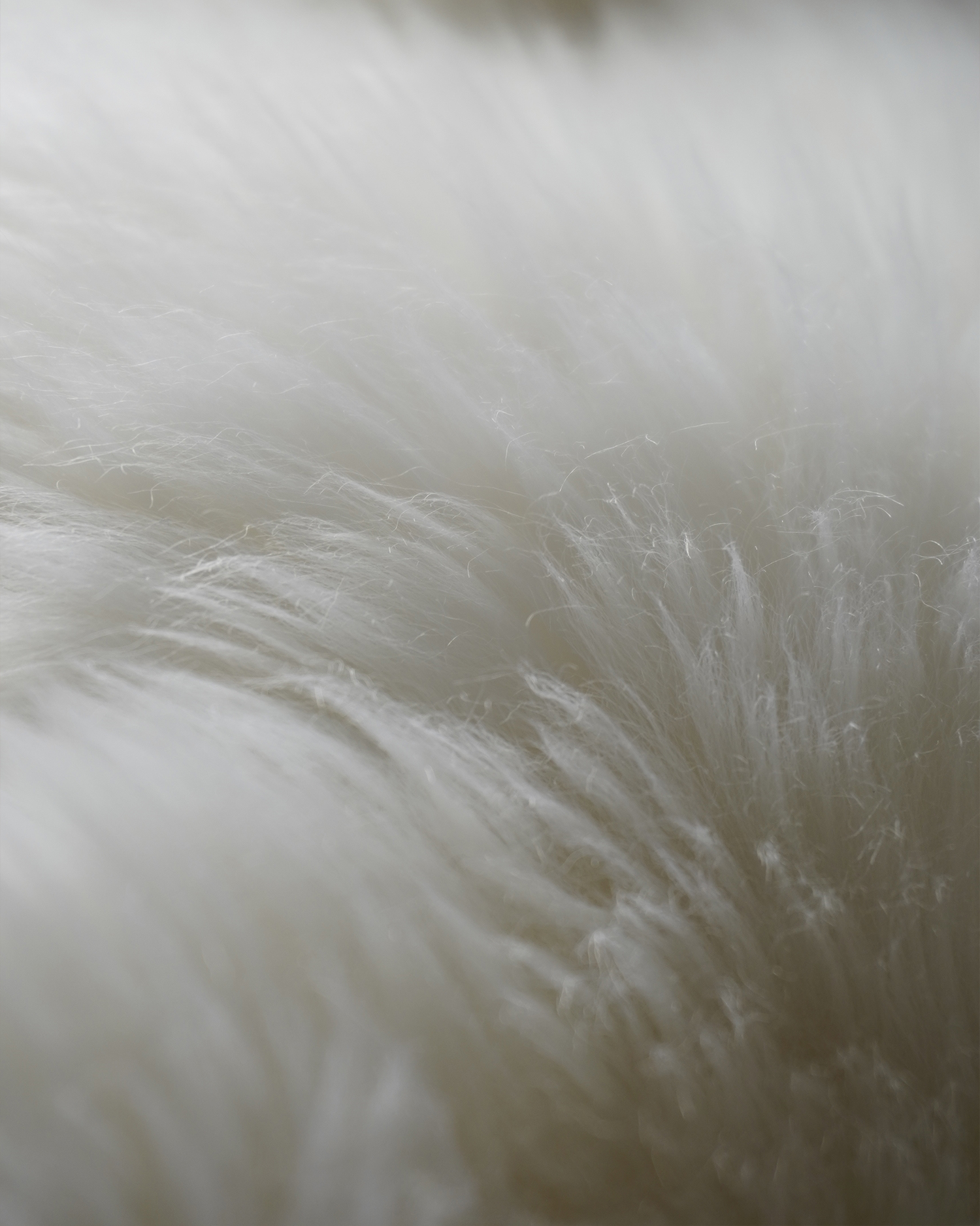 Australian Double Sheepskin Rug - Thumbnail 4