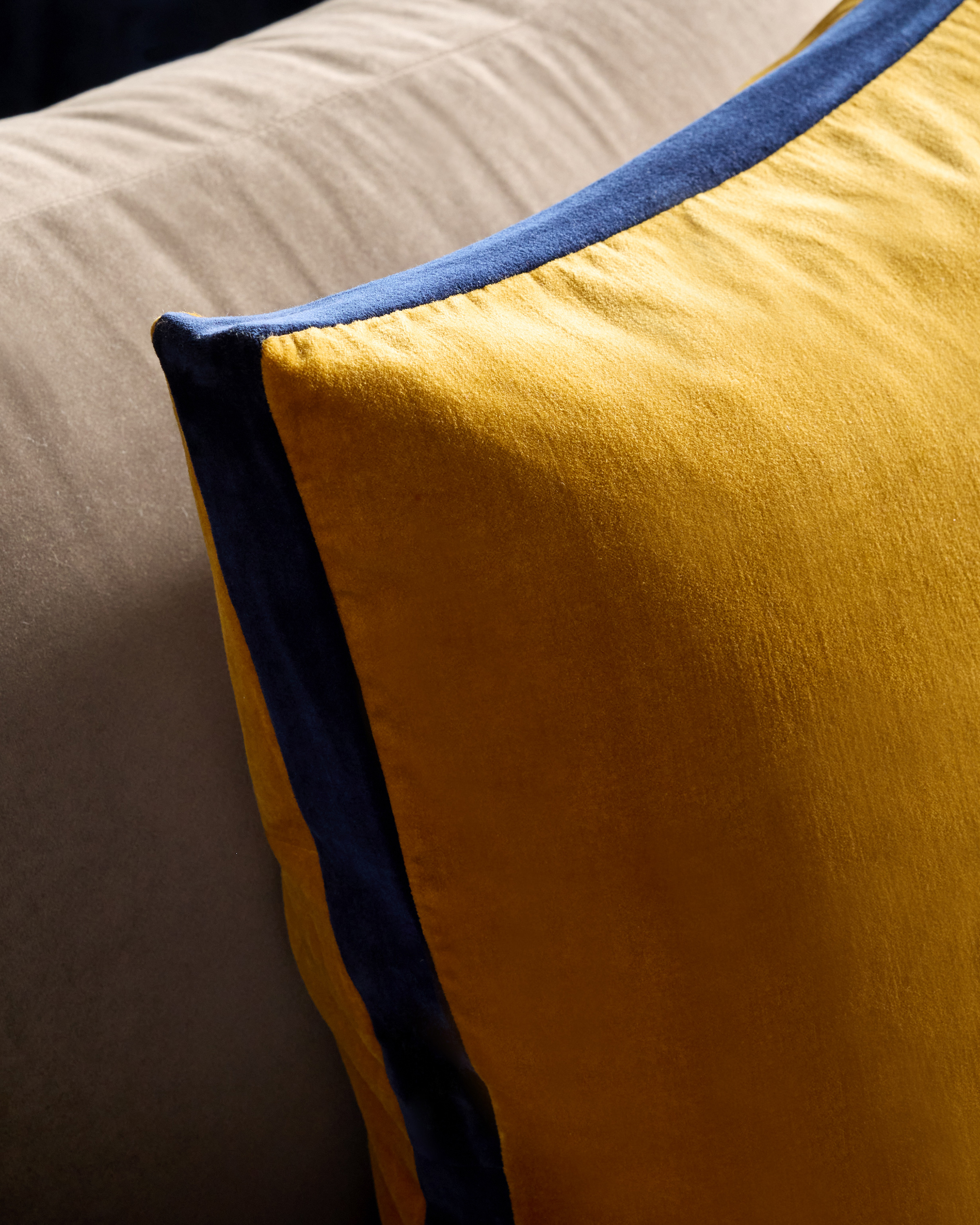 Quince Velvet Edge Pillow Cover