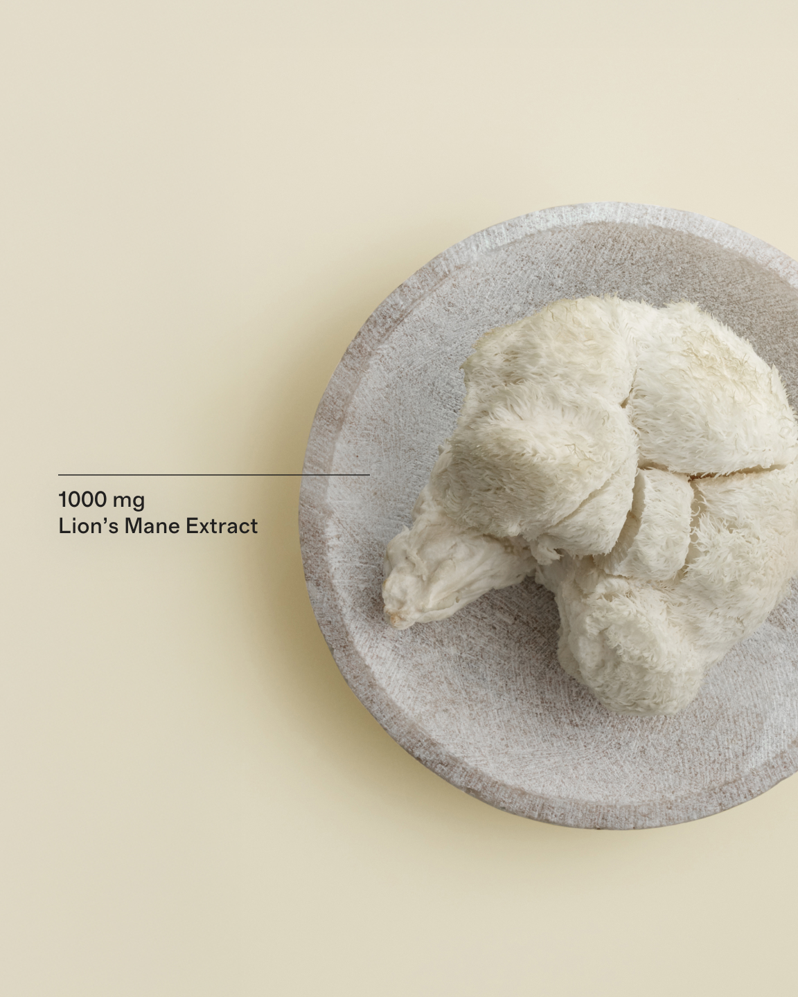 Certified Organic Lion’s Mane Capsules