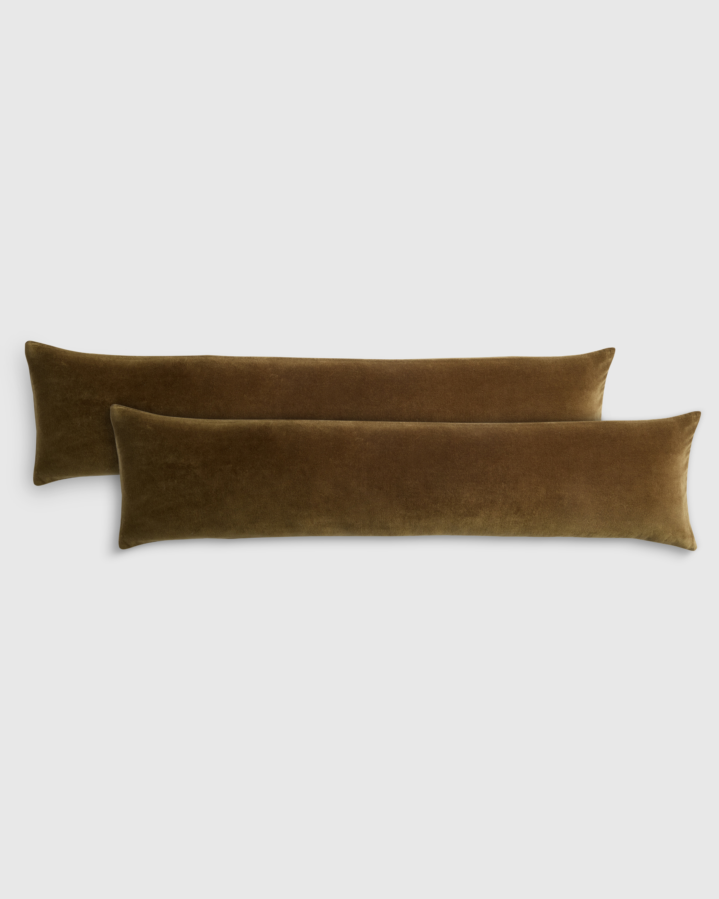 Cotton Velvet Oversized Lumbar Pillow Cover (Set of 2) - Olive