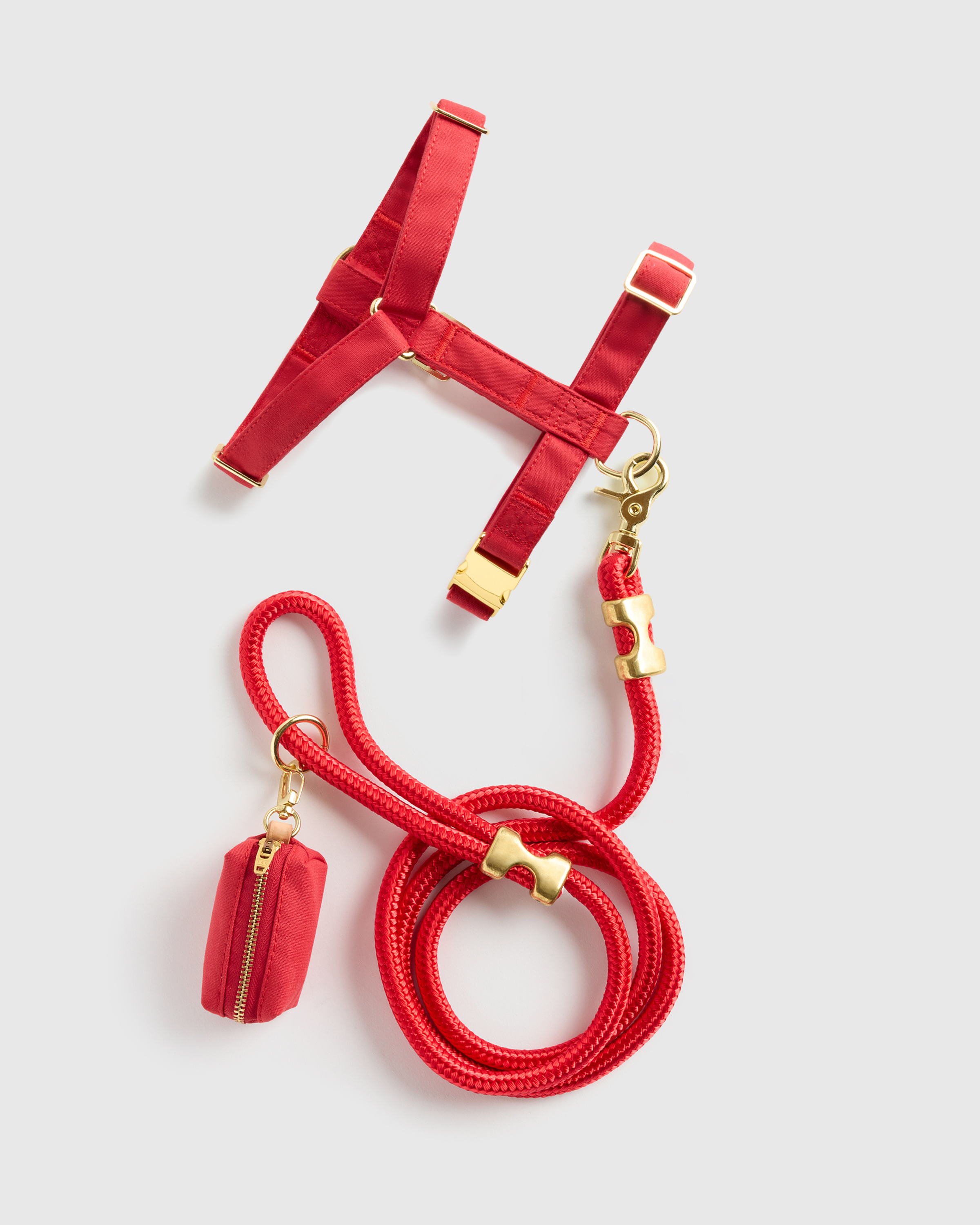 Ruby 100% Cotton-Wrapped Nylon Dog Harness Walk Kit