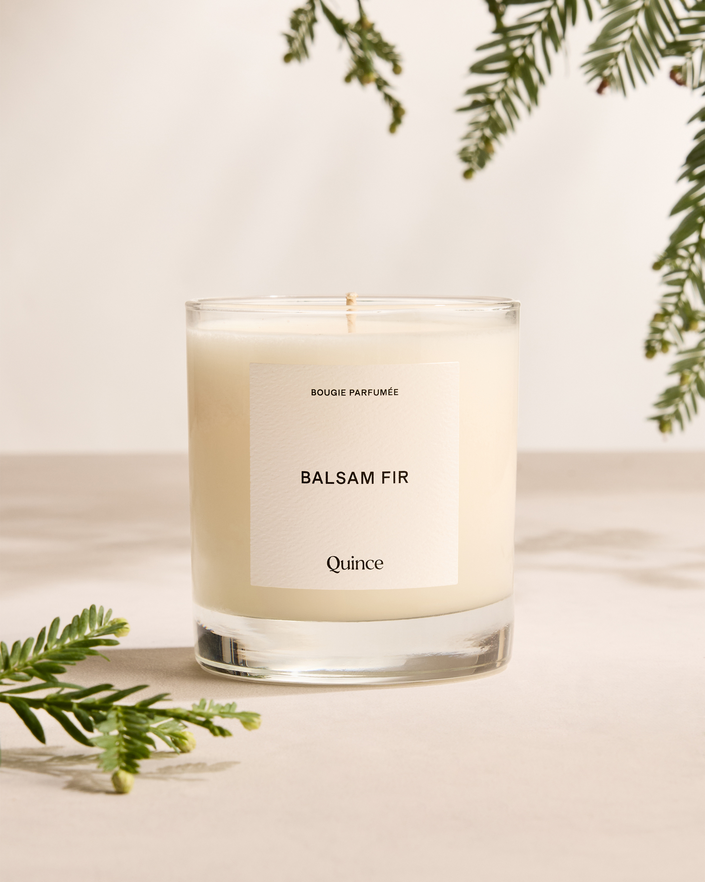 Quince Balsam Fir Candle