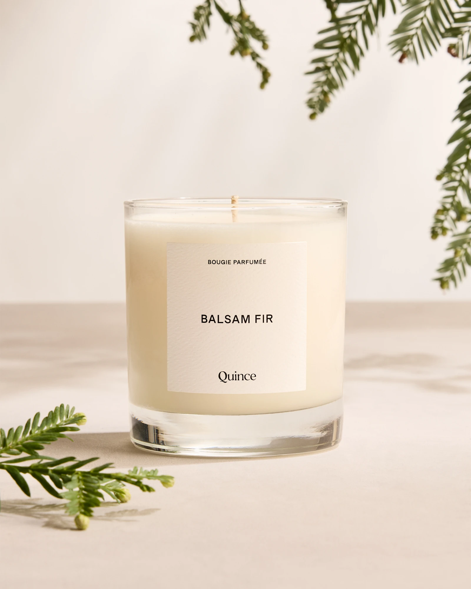 Balsam Fir Candle (Set of 2)