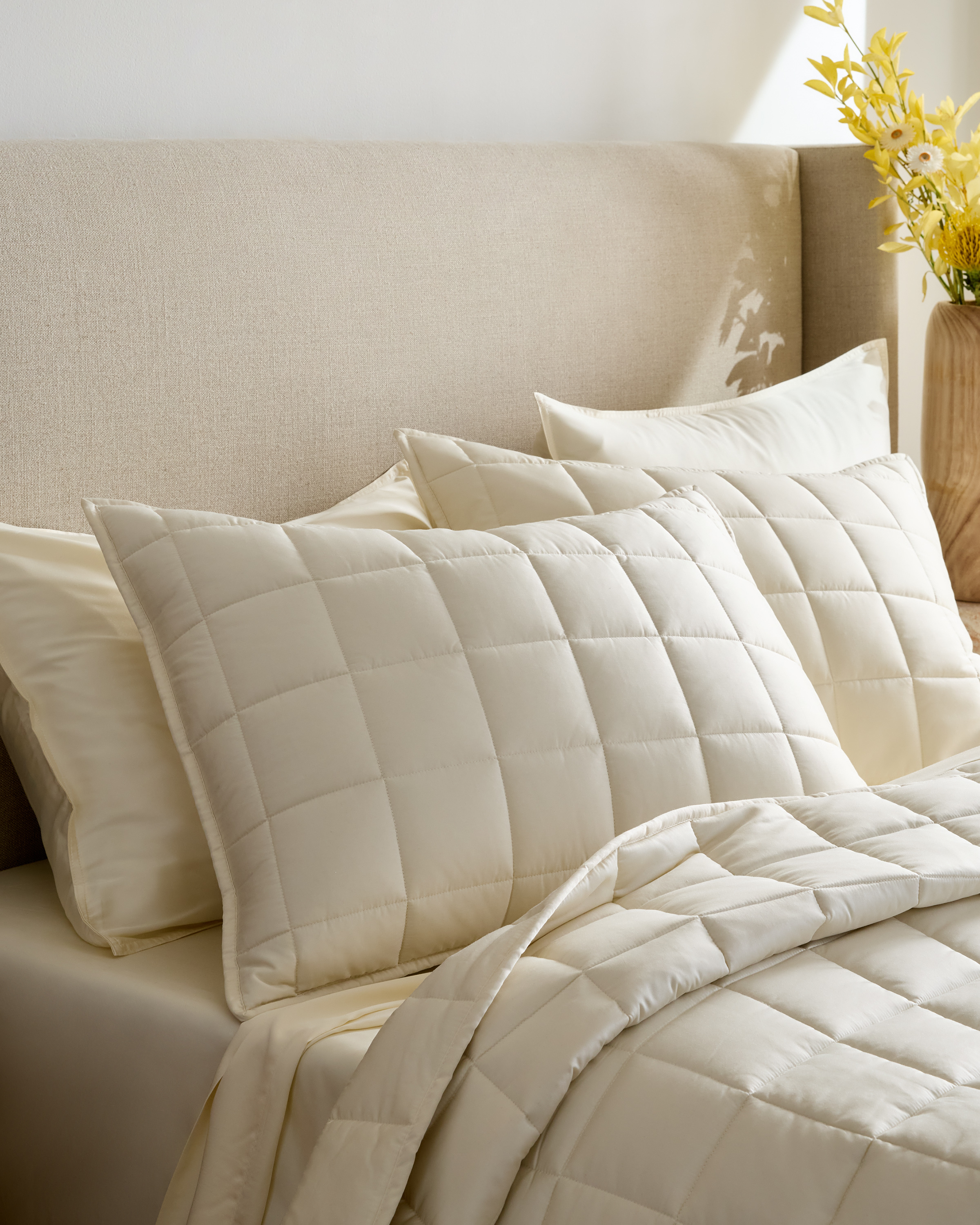 Ivory Bamboo Box Quilted Sham Set