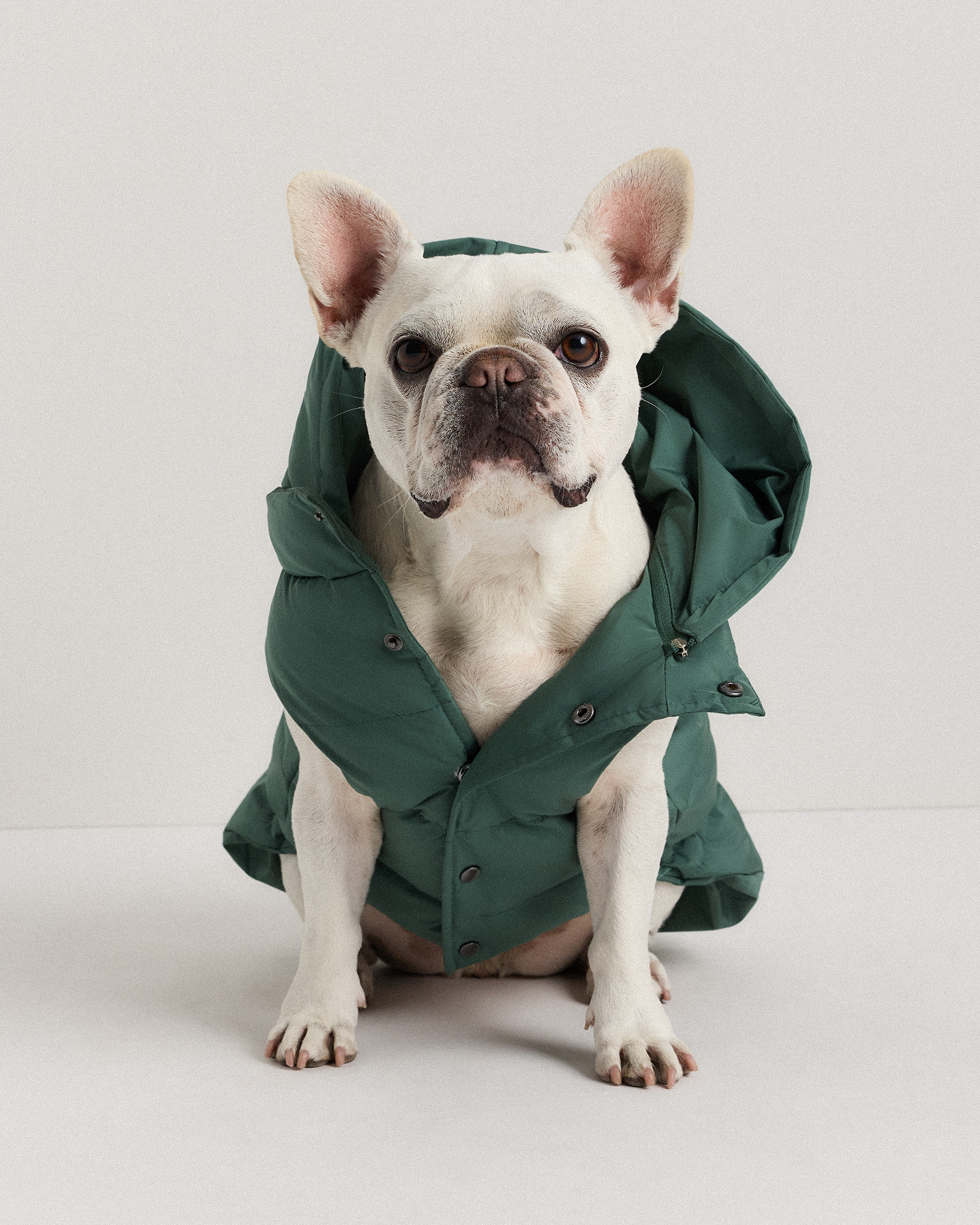 U--556-FRGRN-01 EDITED