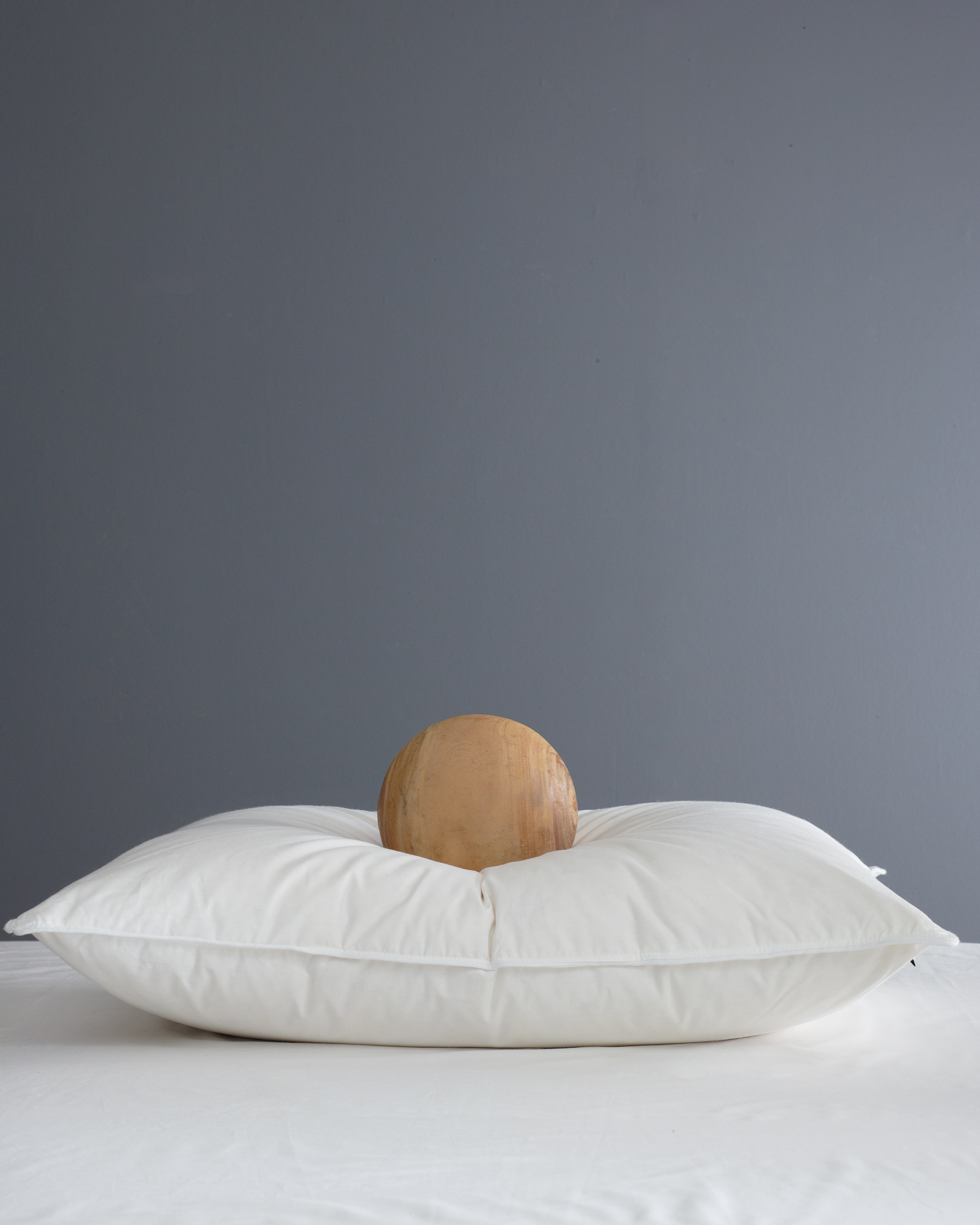 Premium Down Pillow
