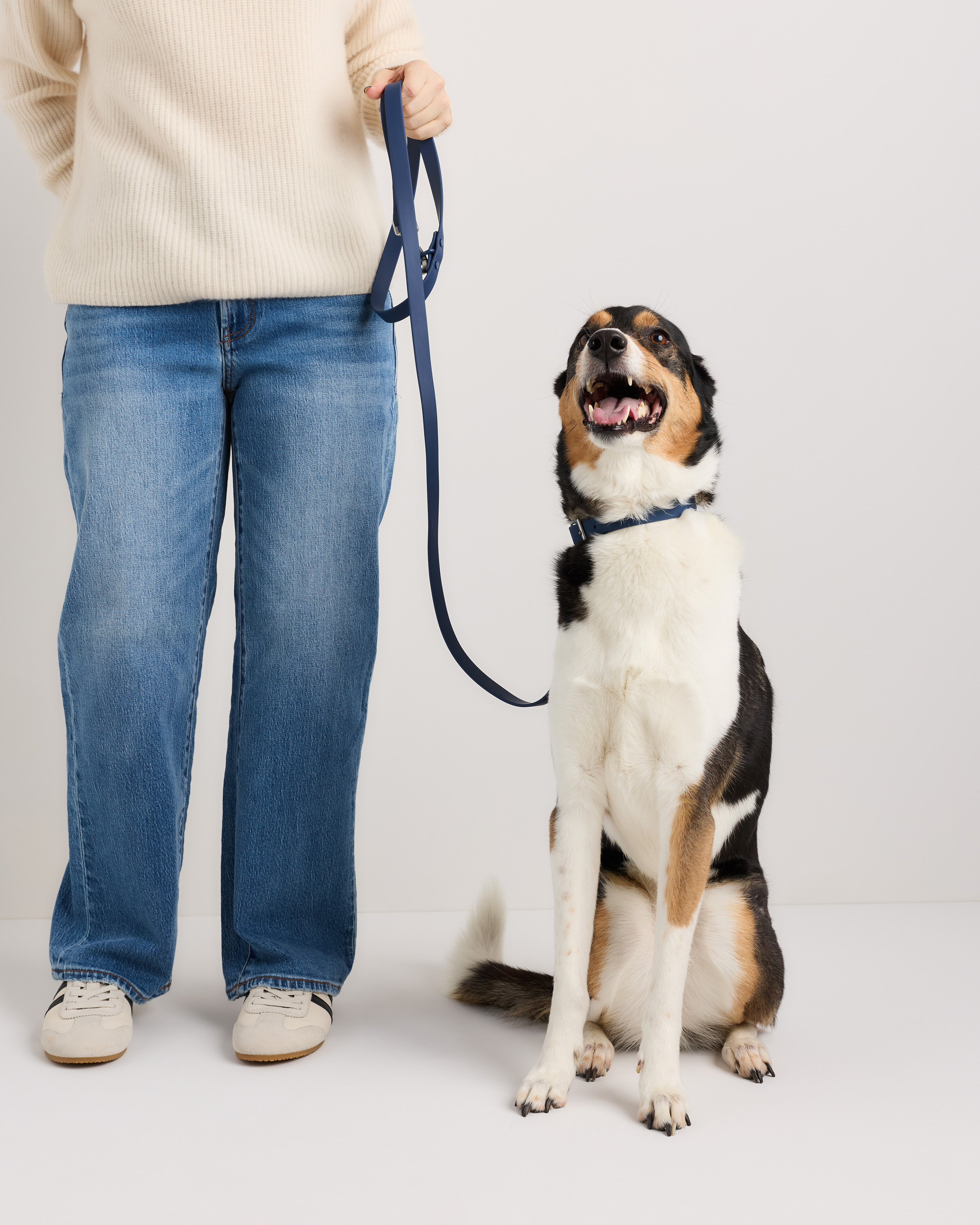 Navy Flex-Poly Dog Leash