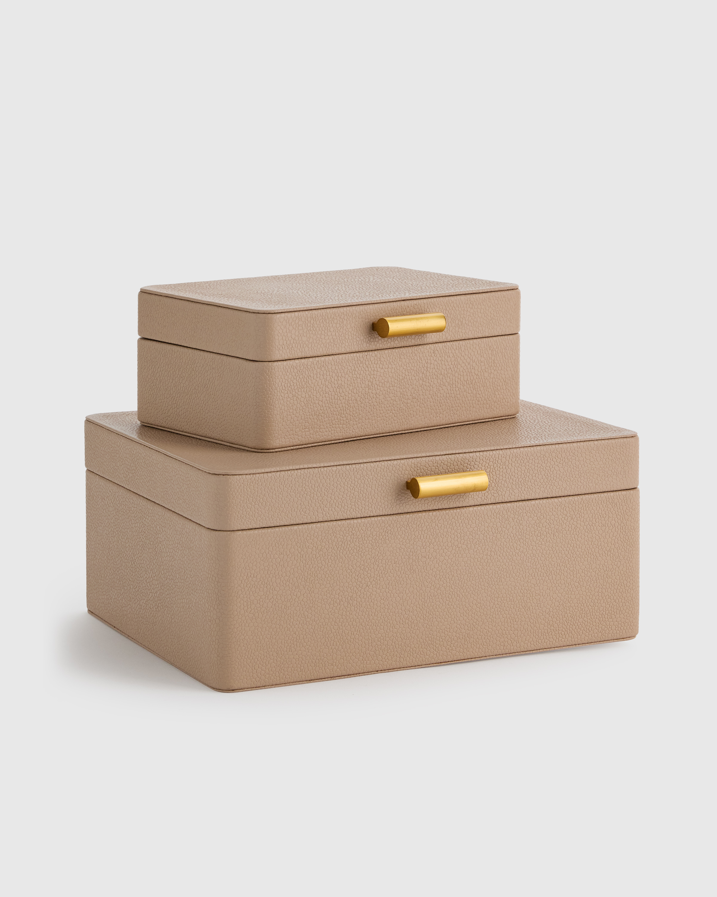 Blush Shagreen Leather Decorative Boxes (Set of 2)