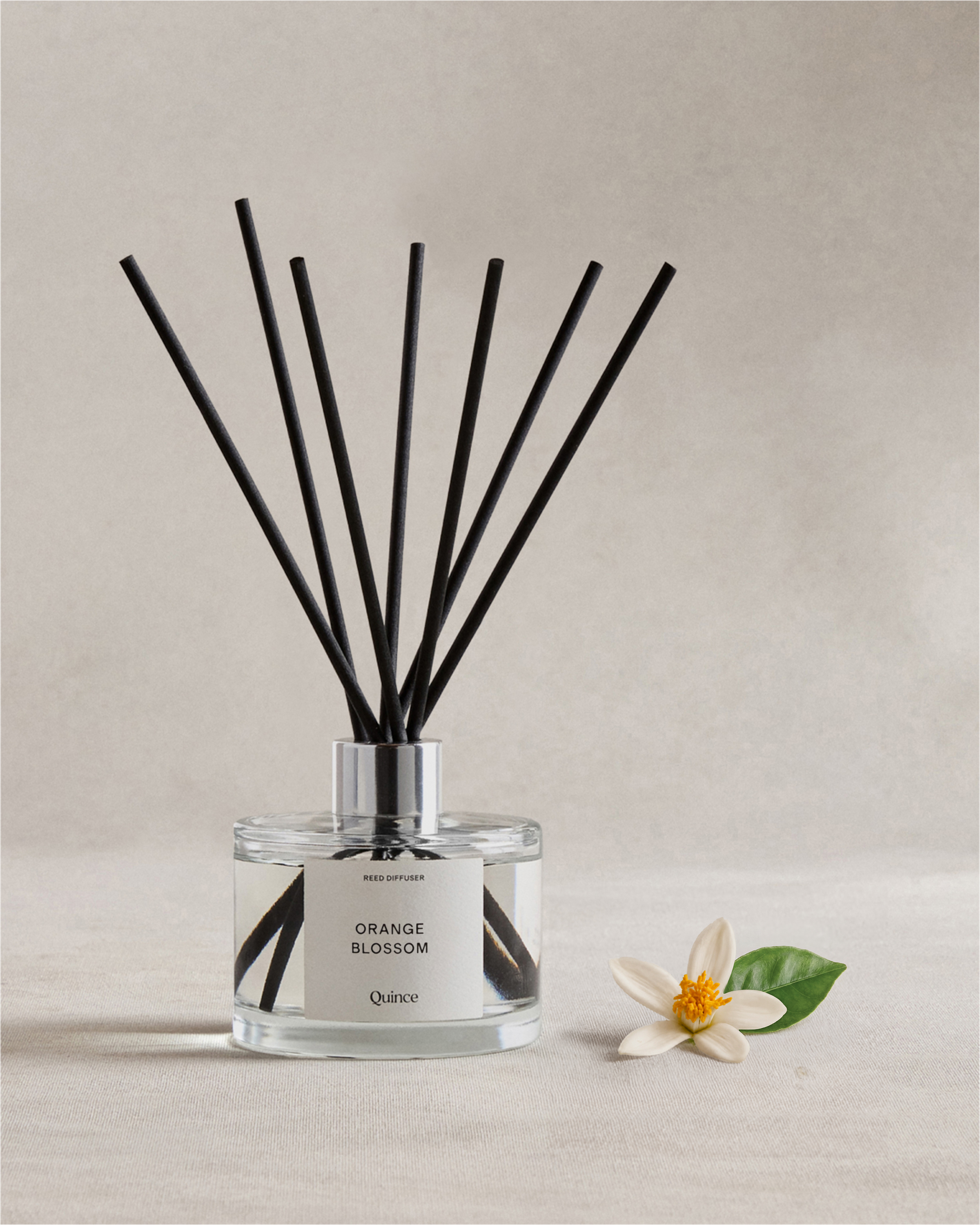 No Color Orange Blossom Reed Diffuser