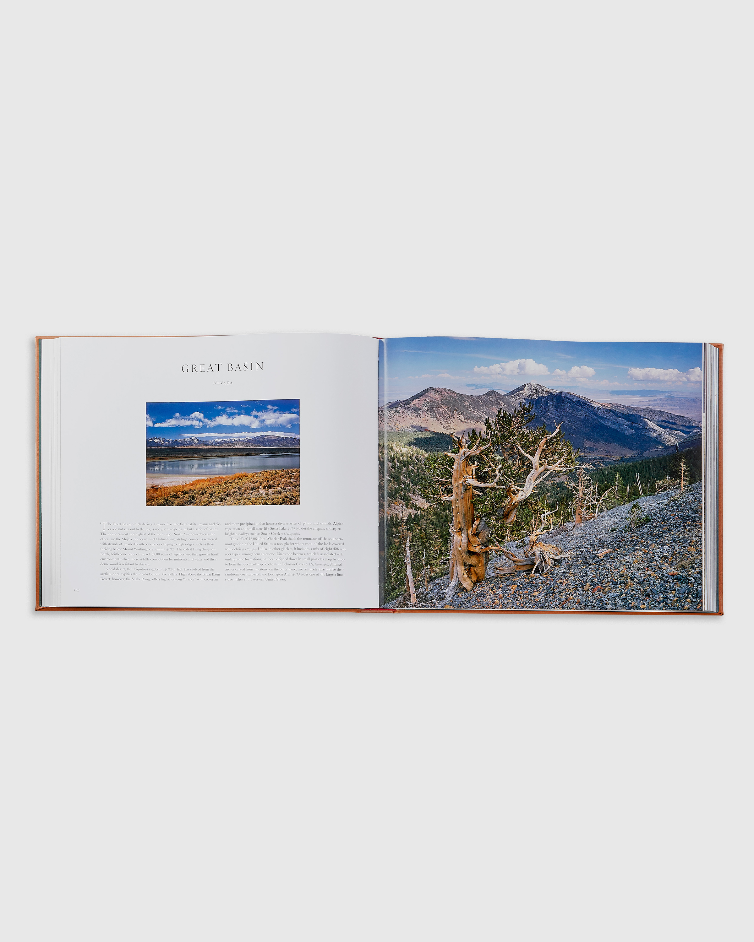 Treasured Lands Leather Bound Book - thumbnail 5