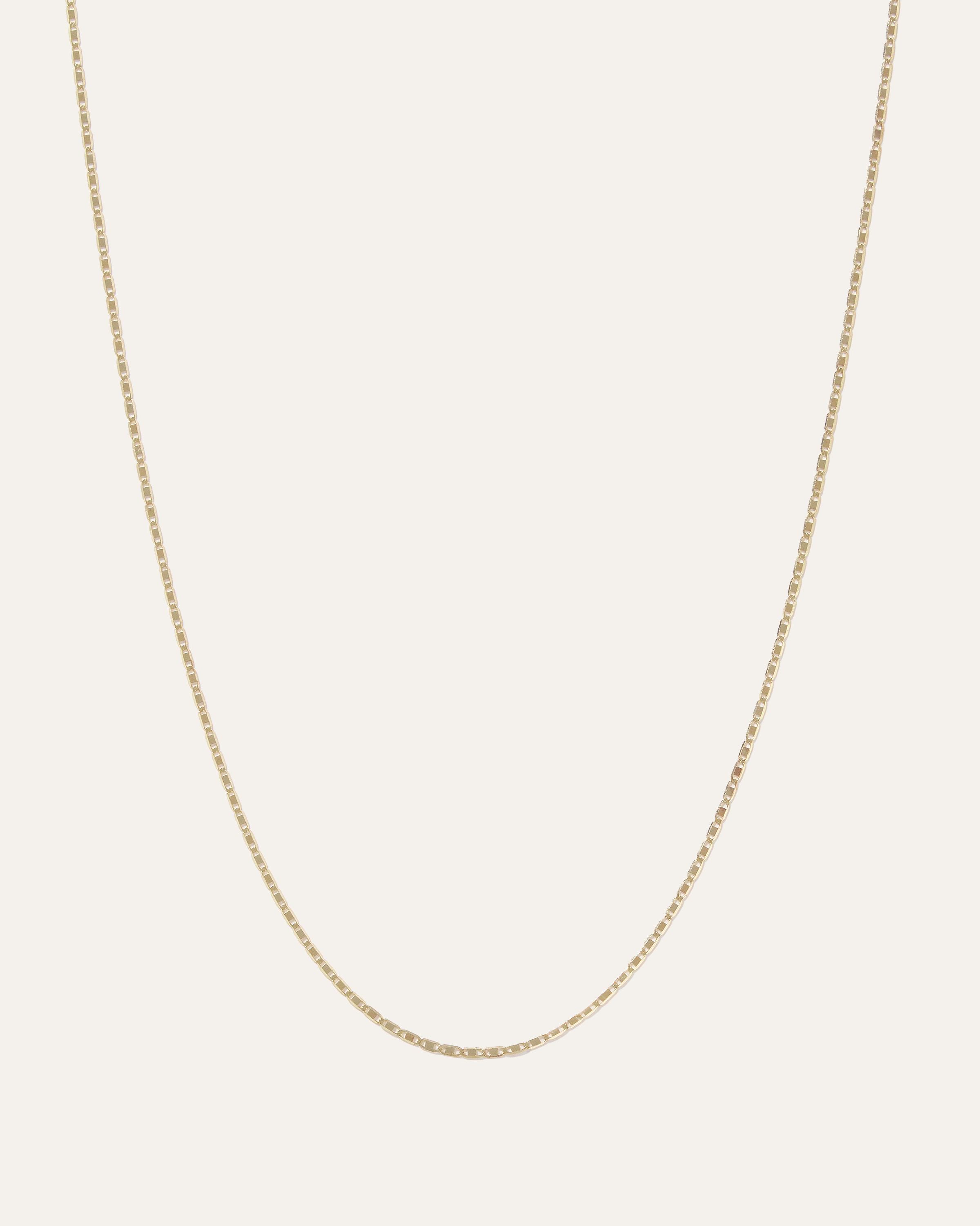 14K Gold Petite Valentino Chain Necklace