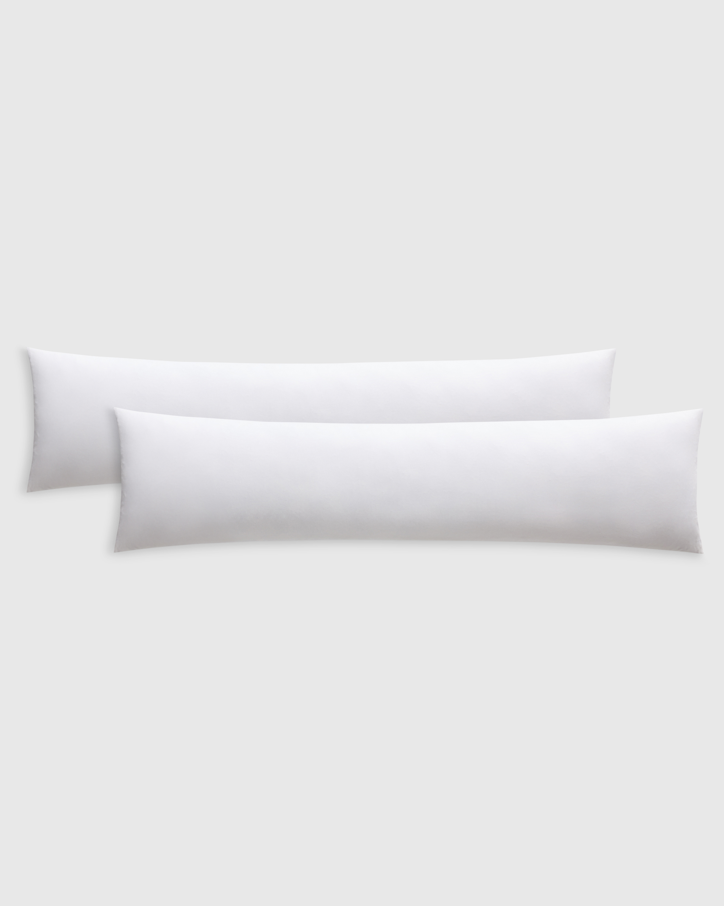 Premium Feather Pillow Insert (Set of 2) - 12x48
