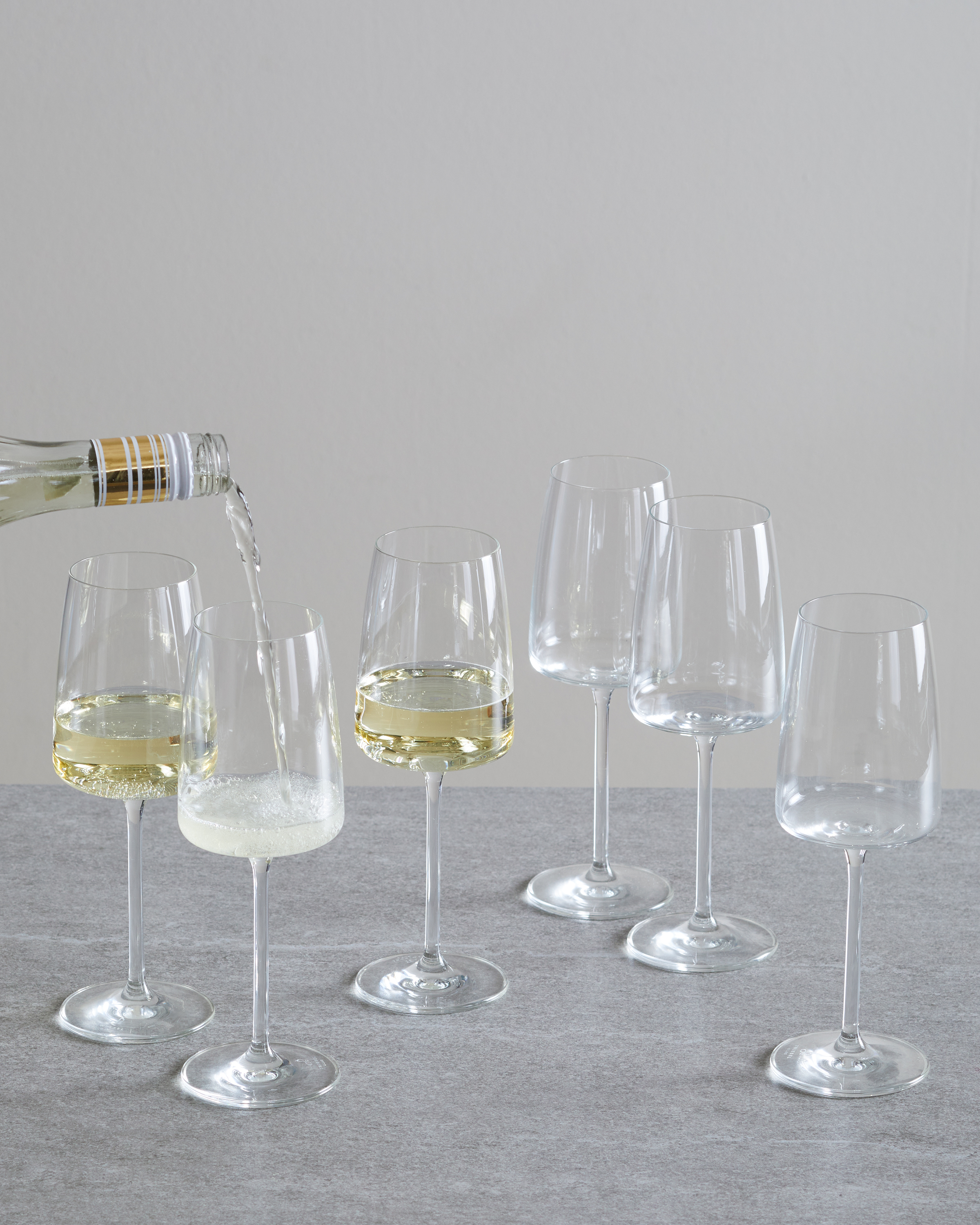 Schott Zwiesel Sensa Wine Glass
