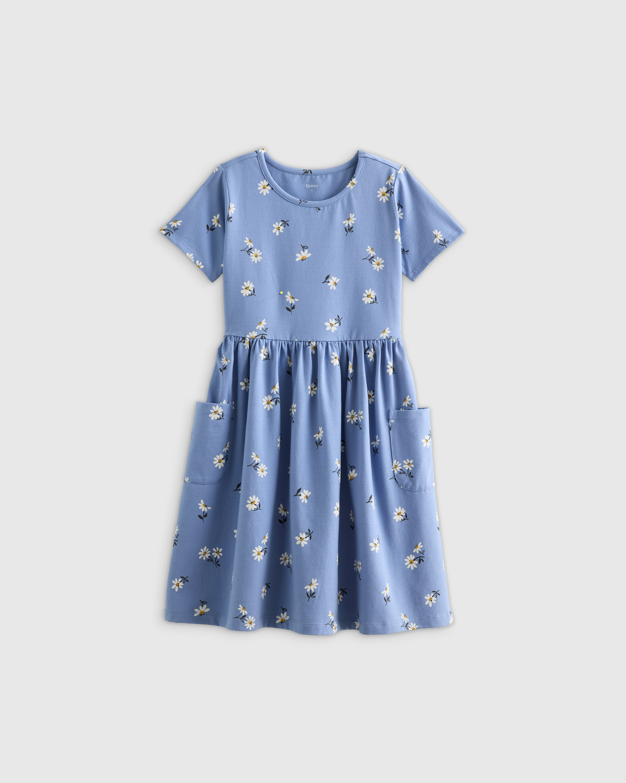 Blue Daisy Organic Cotton Fit and Flare Pocket Dress 