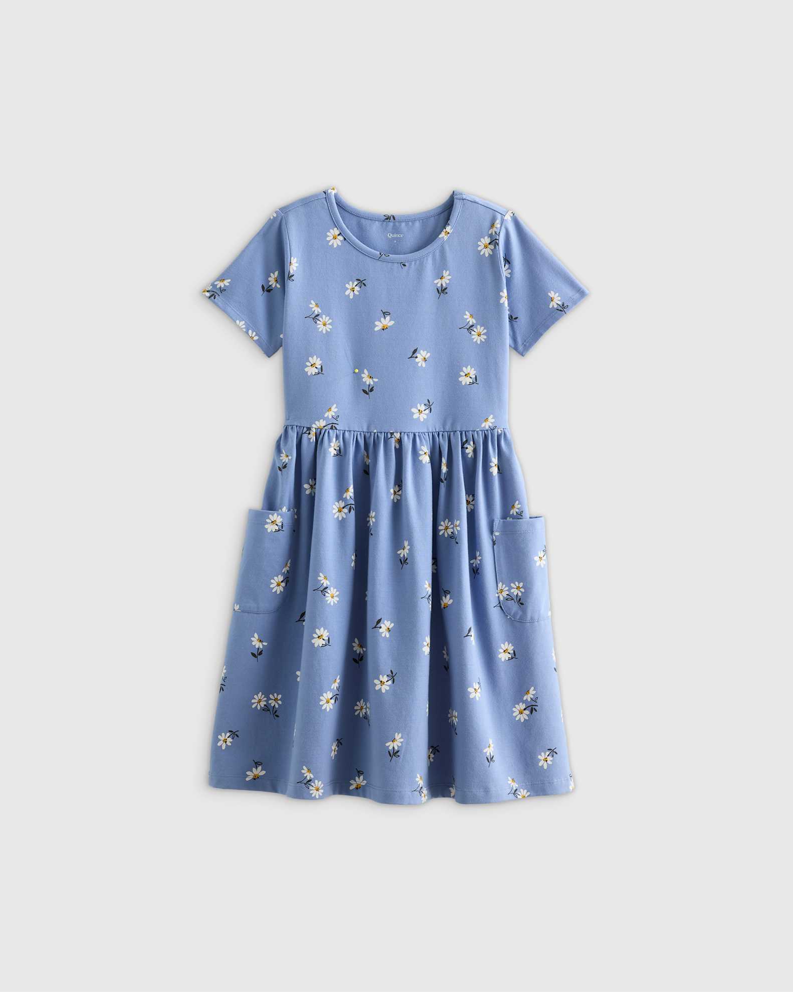 Fit and Flare Pocket Dress in Blue Daisy, Size 4T, Organic Cotton by Quince - Toddler Fit and Flare Pocket Dress in Blue Daisy, Size 4T, Organic Cotton by Quince - Toddler