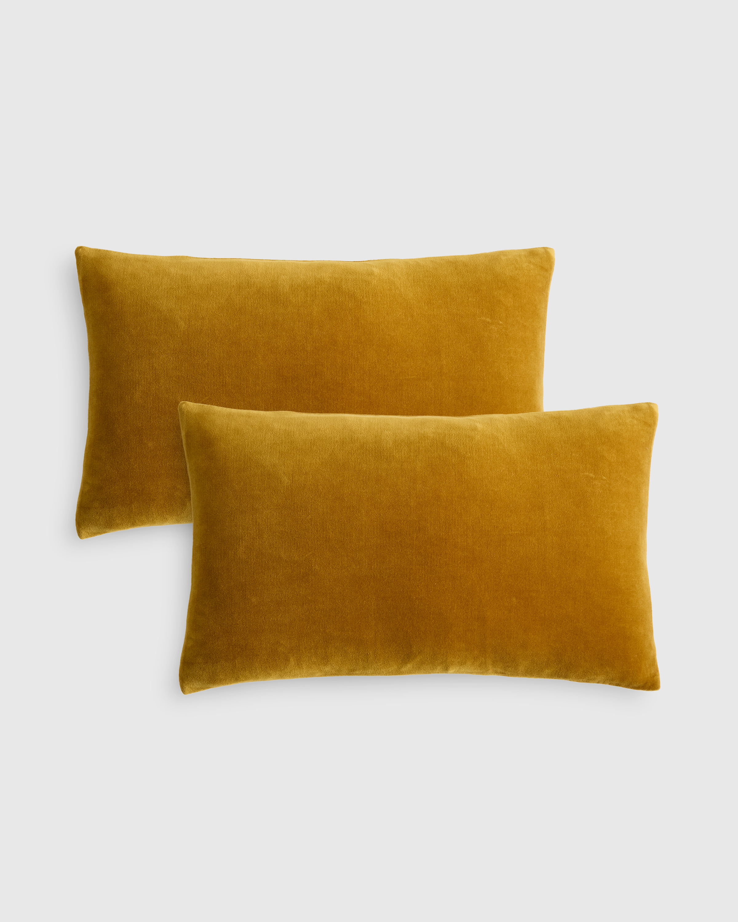 Classic Cotton Velvet Pillow Cover, 20x20, Marigold