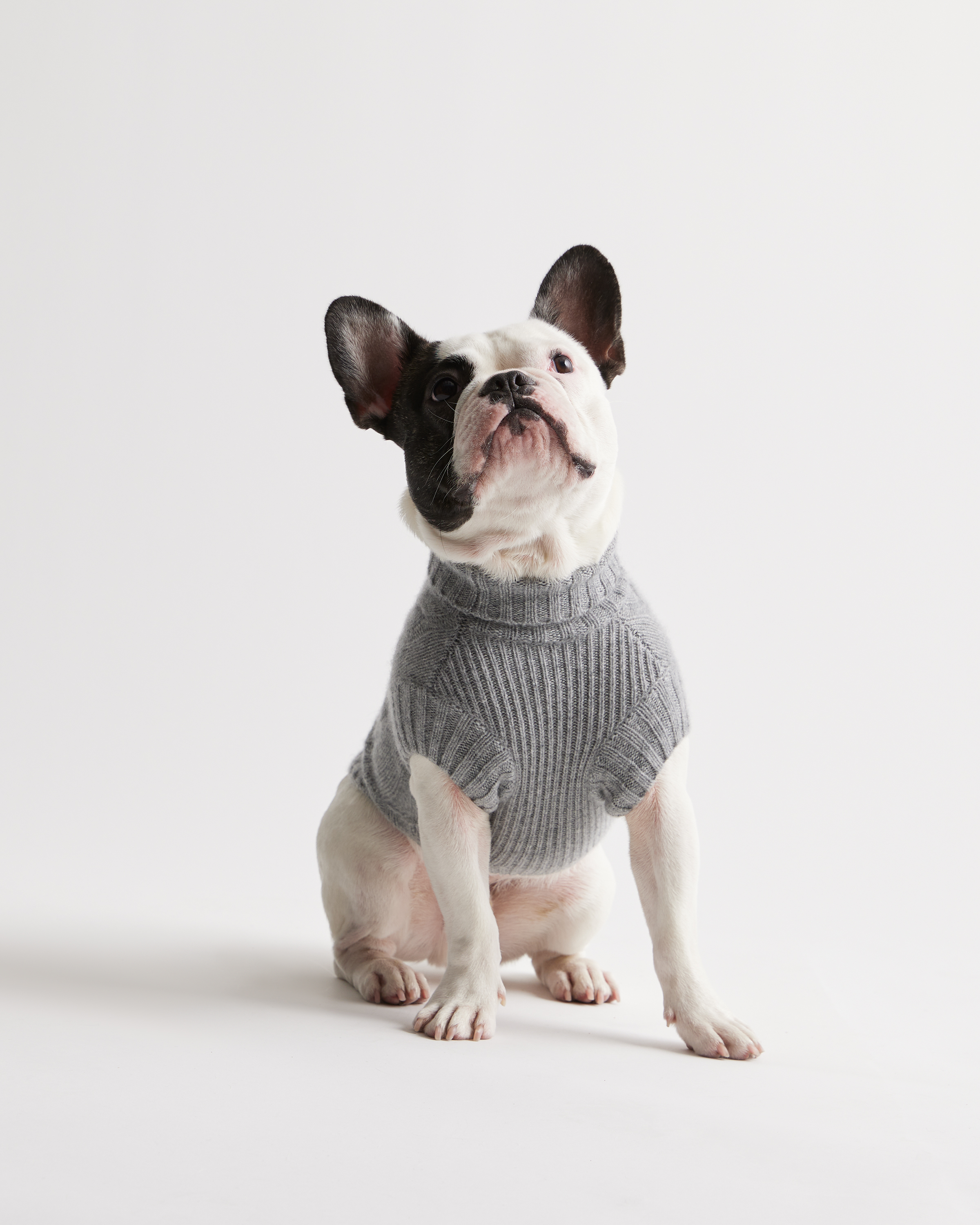 Heather Grey Mongolian Cashmere Cable Knit Dog Sweater