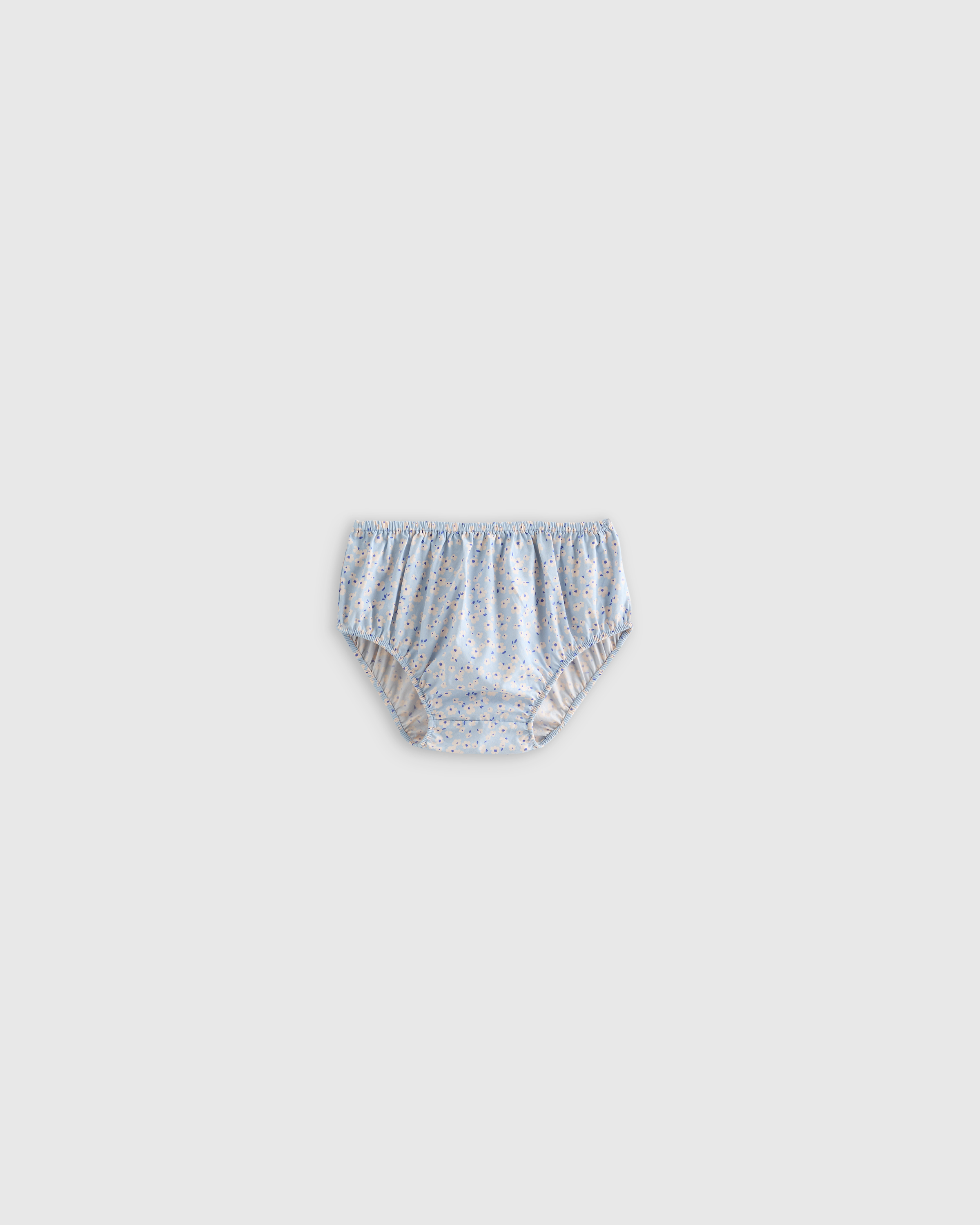 U 252 BLUE DITSY DAISY DIAPER RETOUCHED