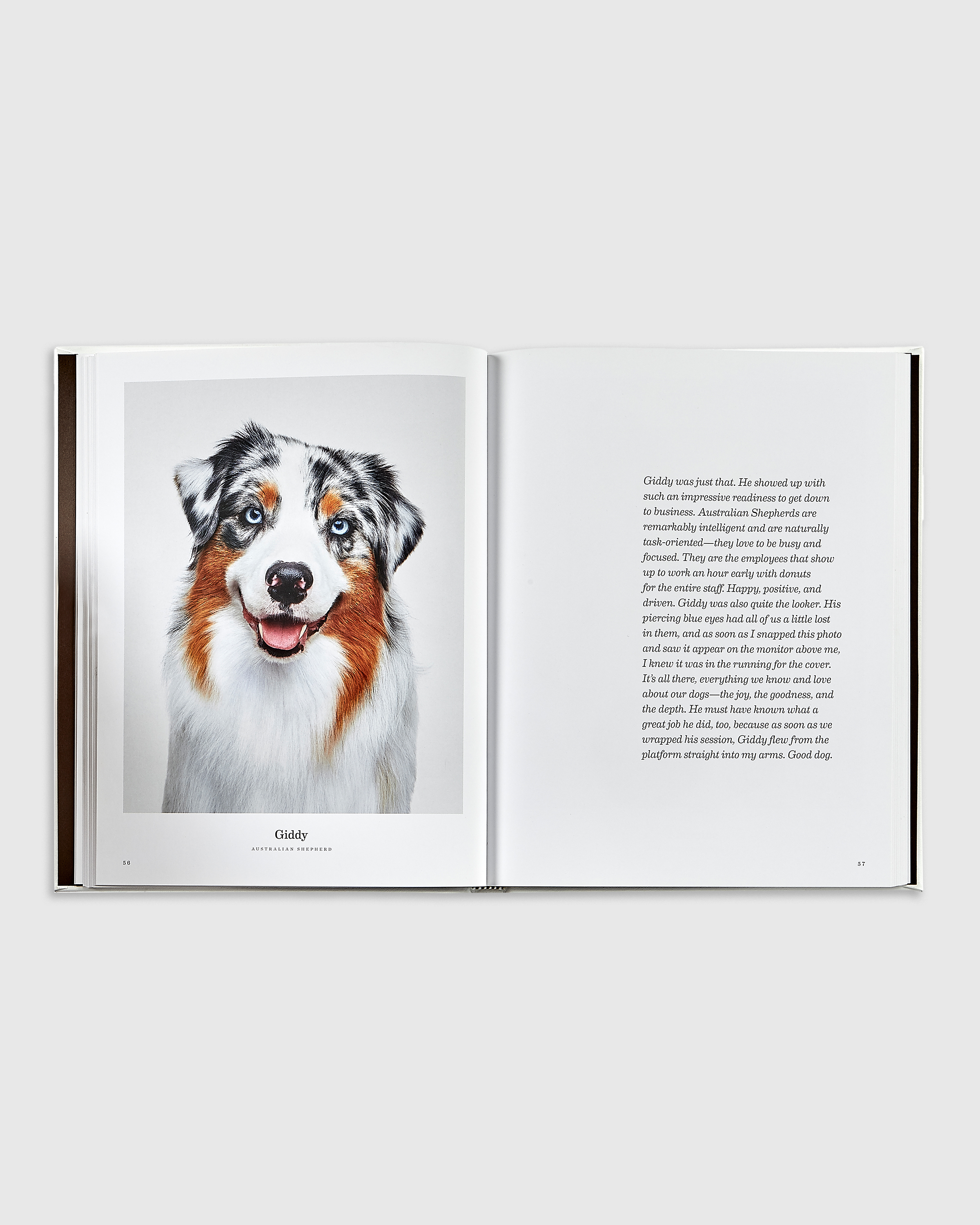 Good Dog Leather Bound Book - thumbnail 3