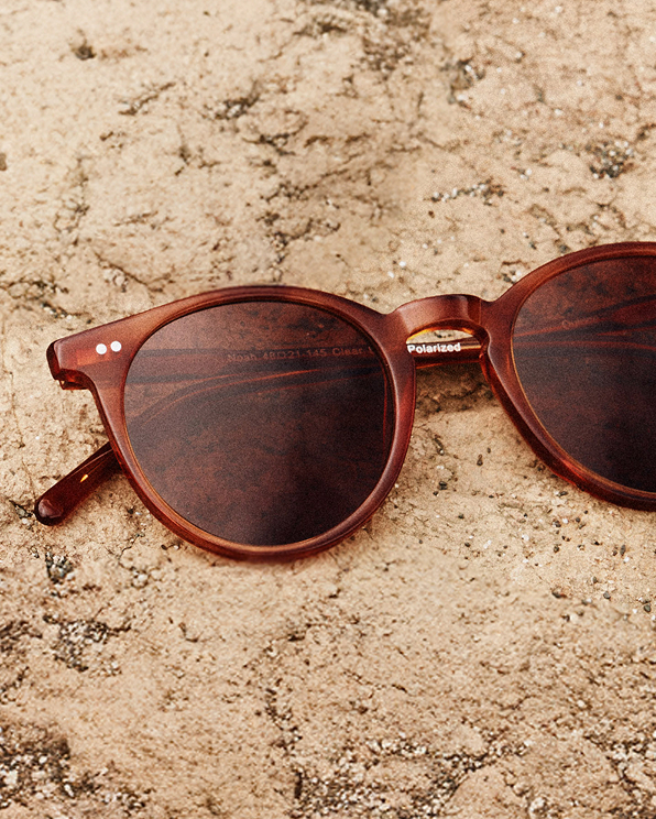 Honey with Green lens Brixton Polarized Acetate Sunglasses