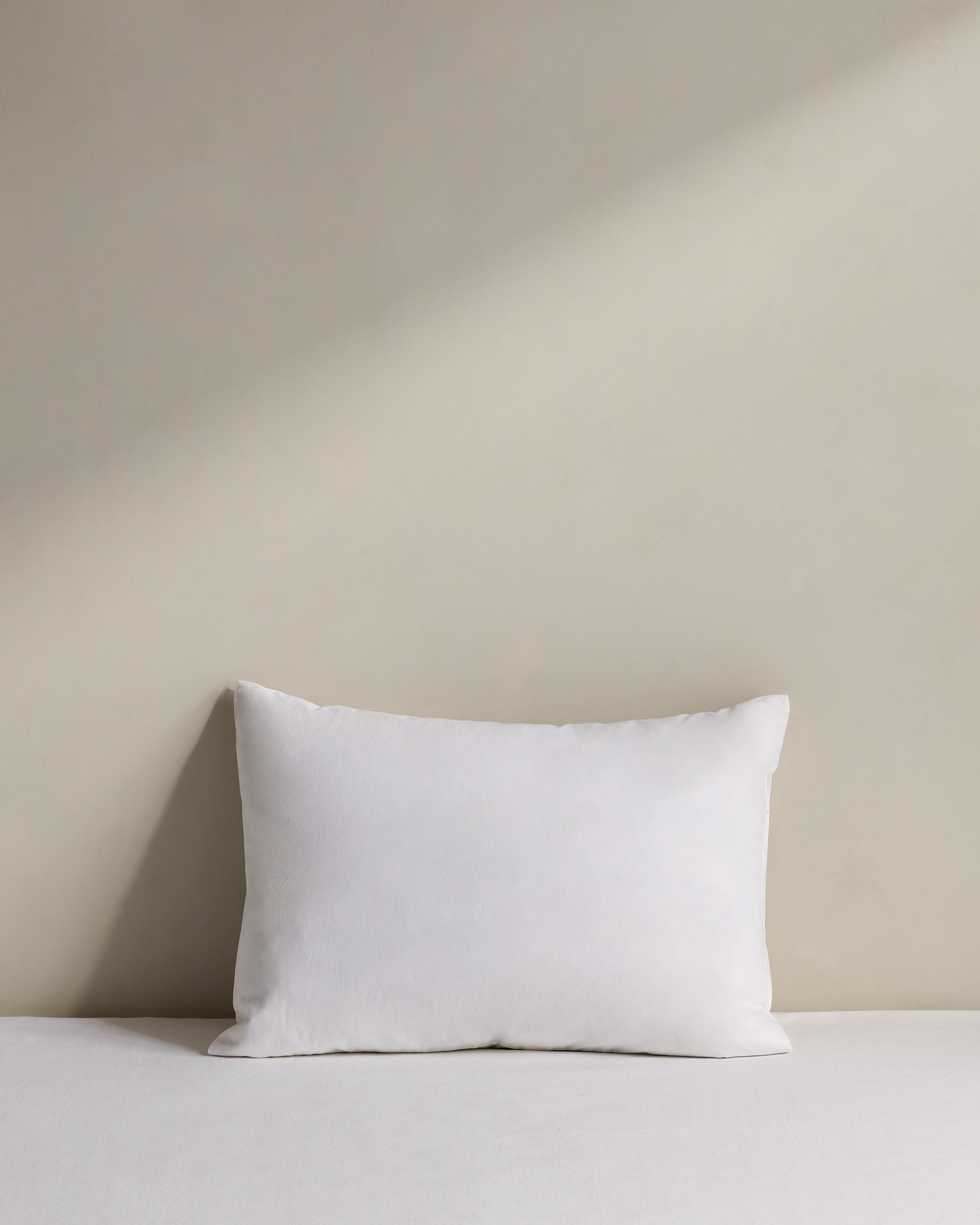 Premium Feather Pillow Insert (Set of 2) - 12x20