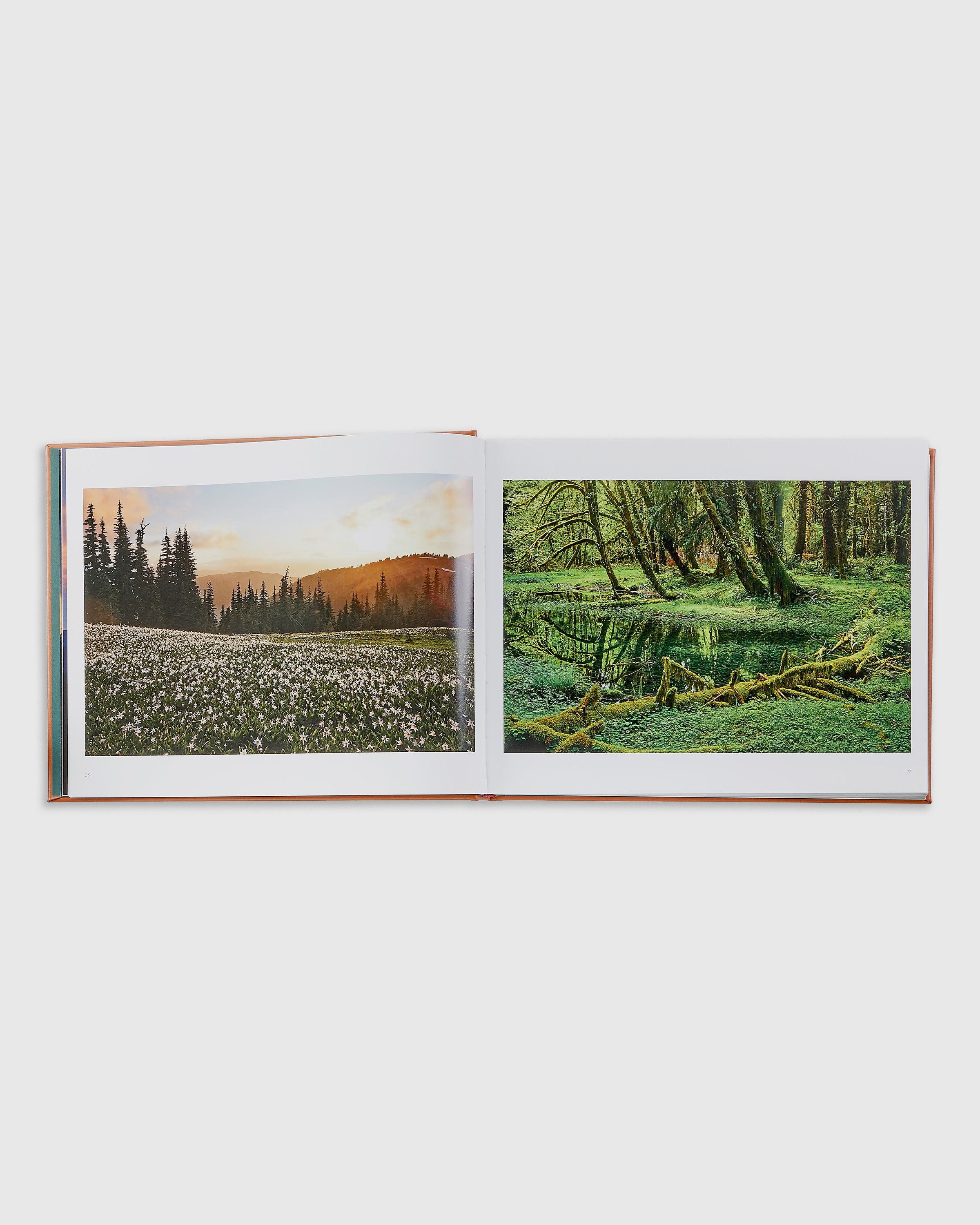 Treasured Lands Leather Bound Book - thumbnail 3