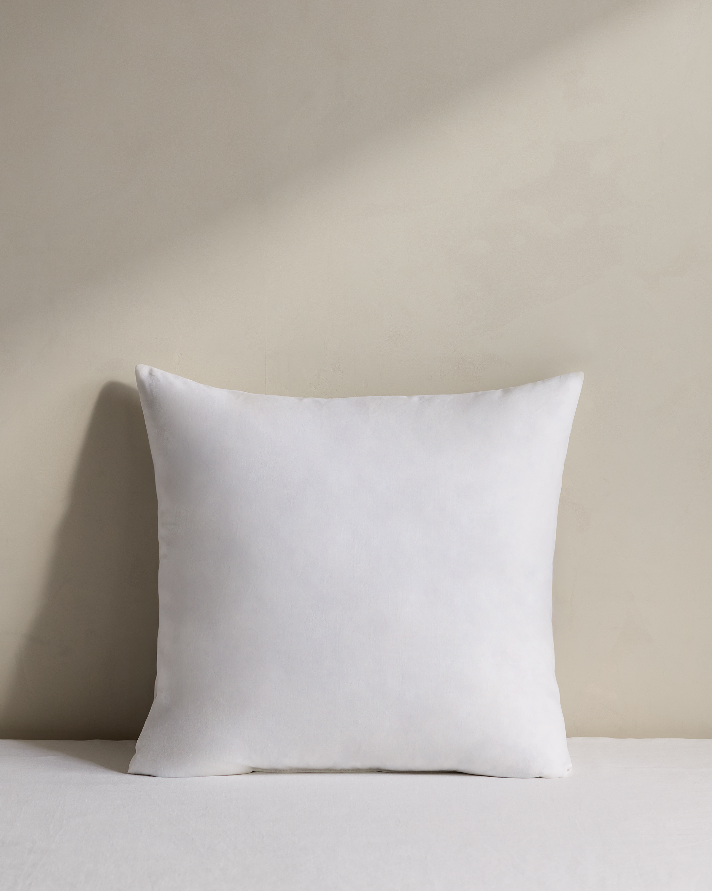 Premium Feather Pillow Insert (Set of 2) - Set of 2, 20x20