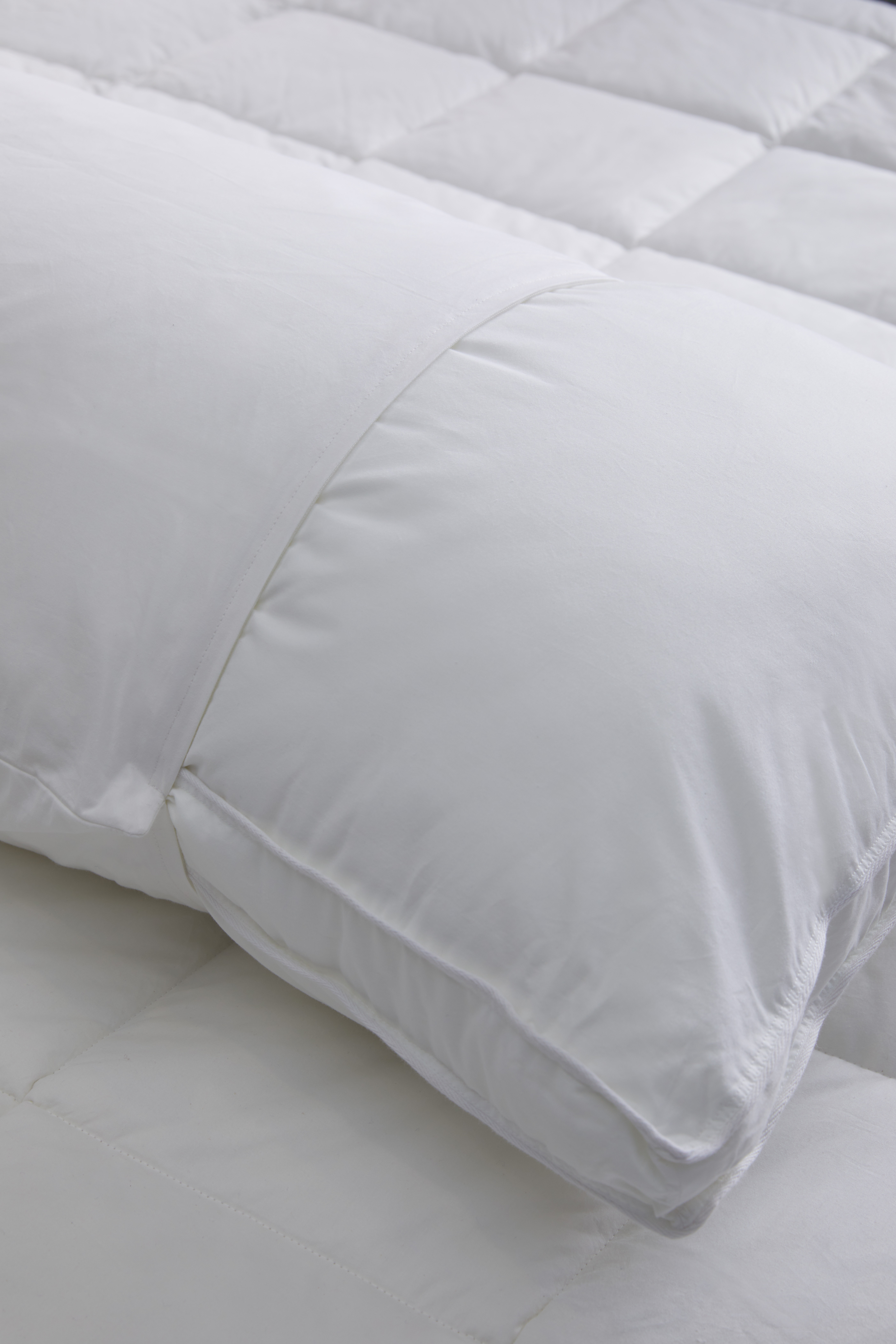 Quince Cotton Pillow Protectors - Thumbnail 5