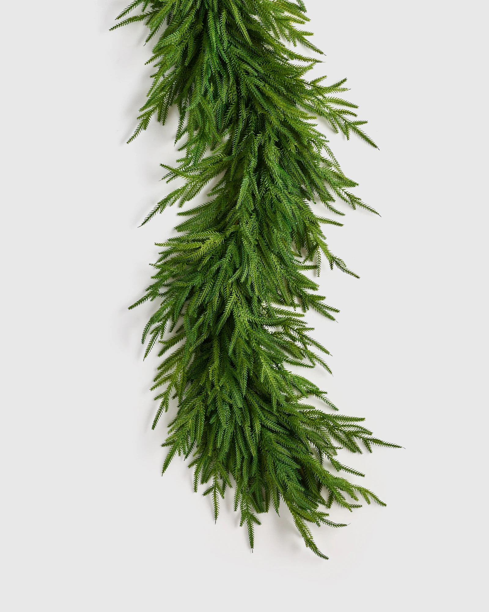 Draping Real Touch Norfolk Pine Garland in Forest Green