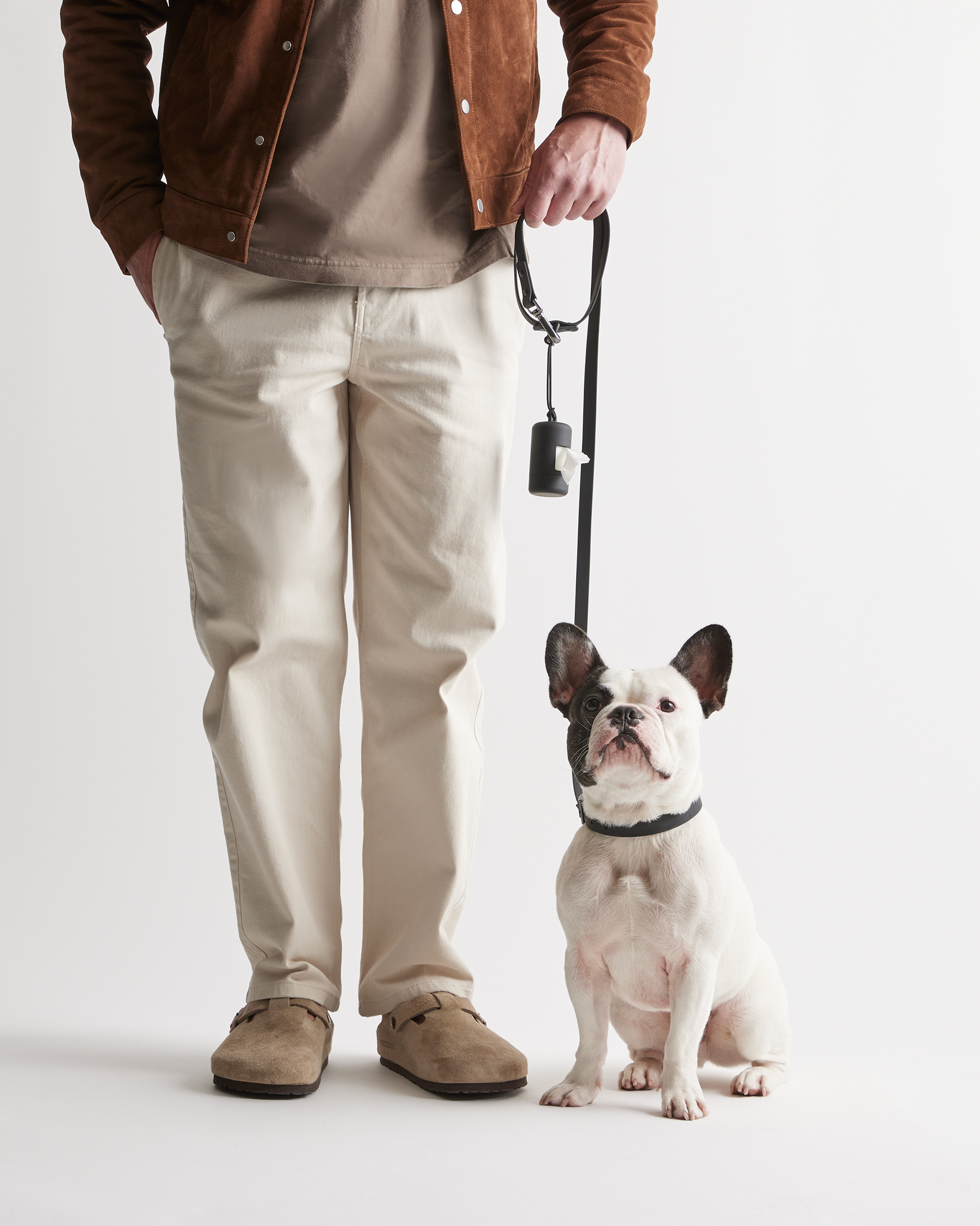 Black Dog Collar Walk Kit 