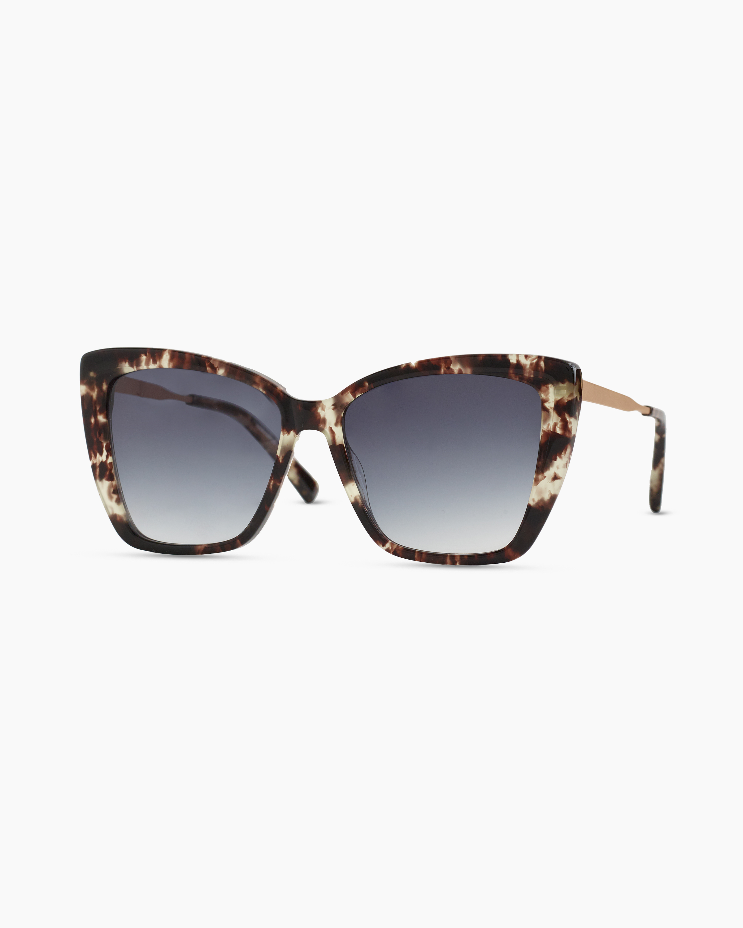 ISHARA-Tortoise 177655 copy
