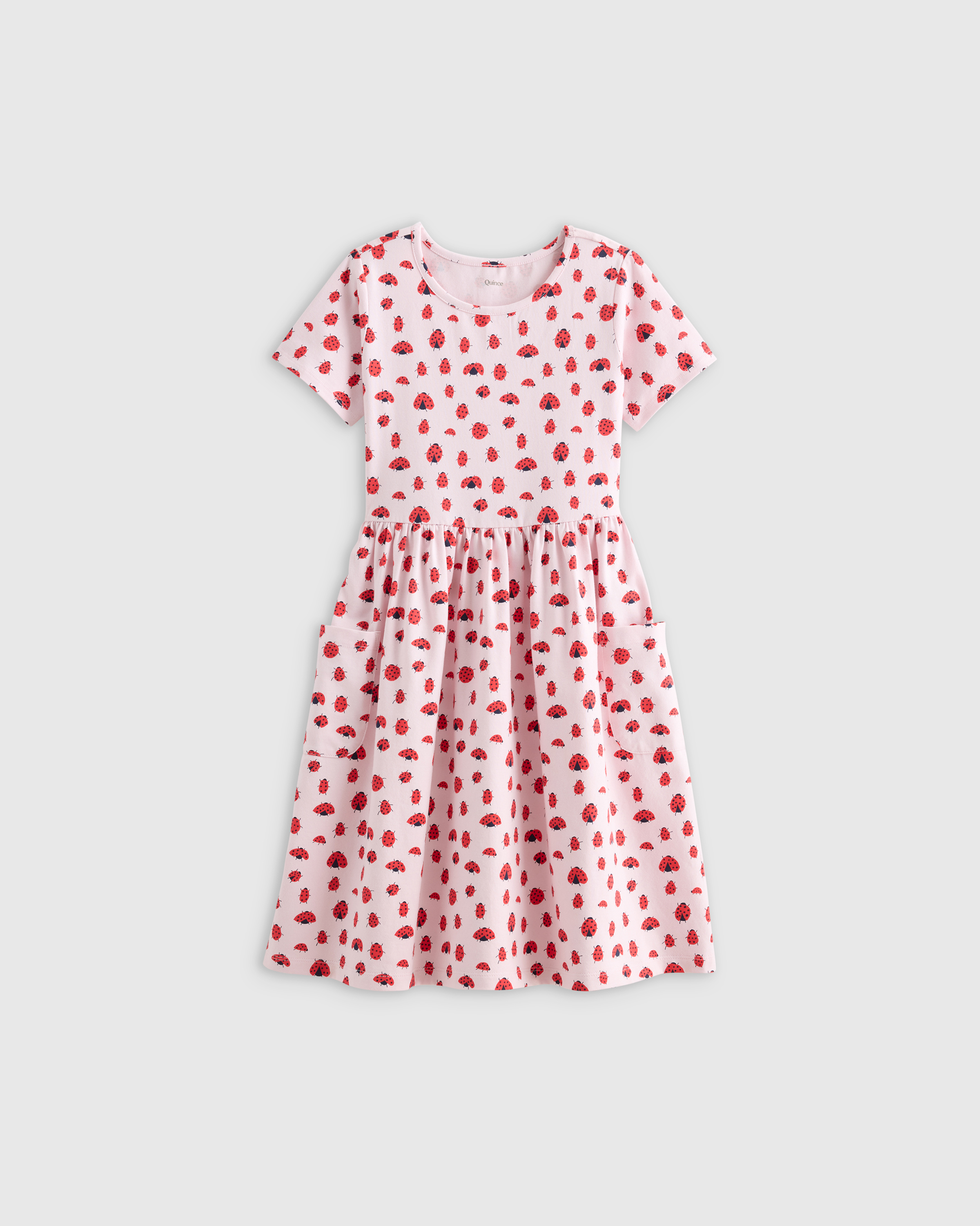 Ladybug Organic Cotton Fit and Flare Pocket Dress 