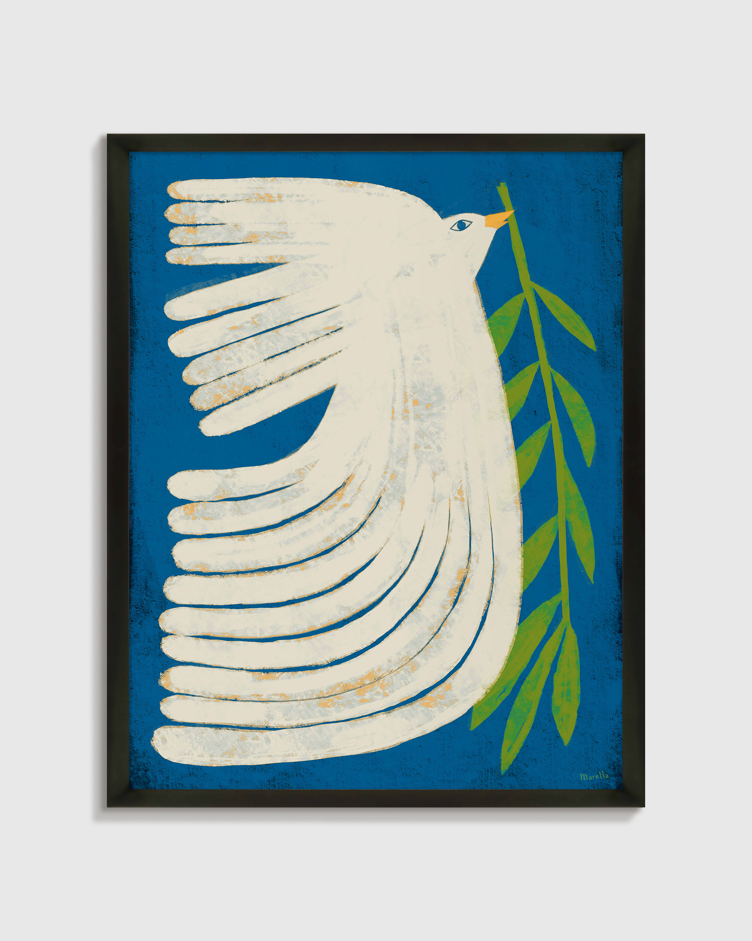 Black Peace Dove by Marco Marella