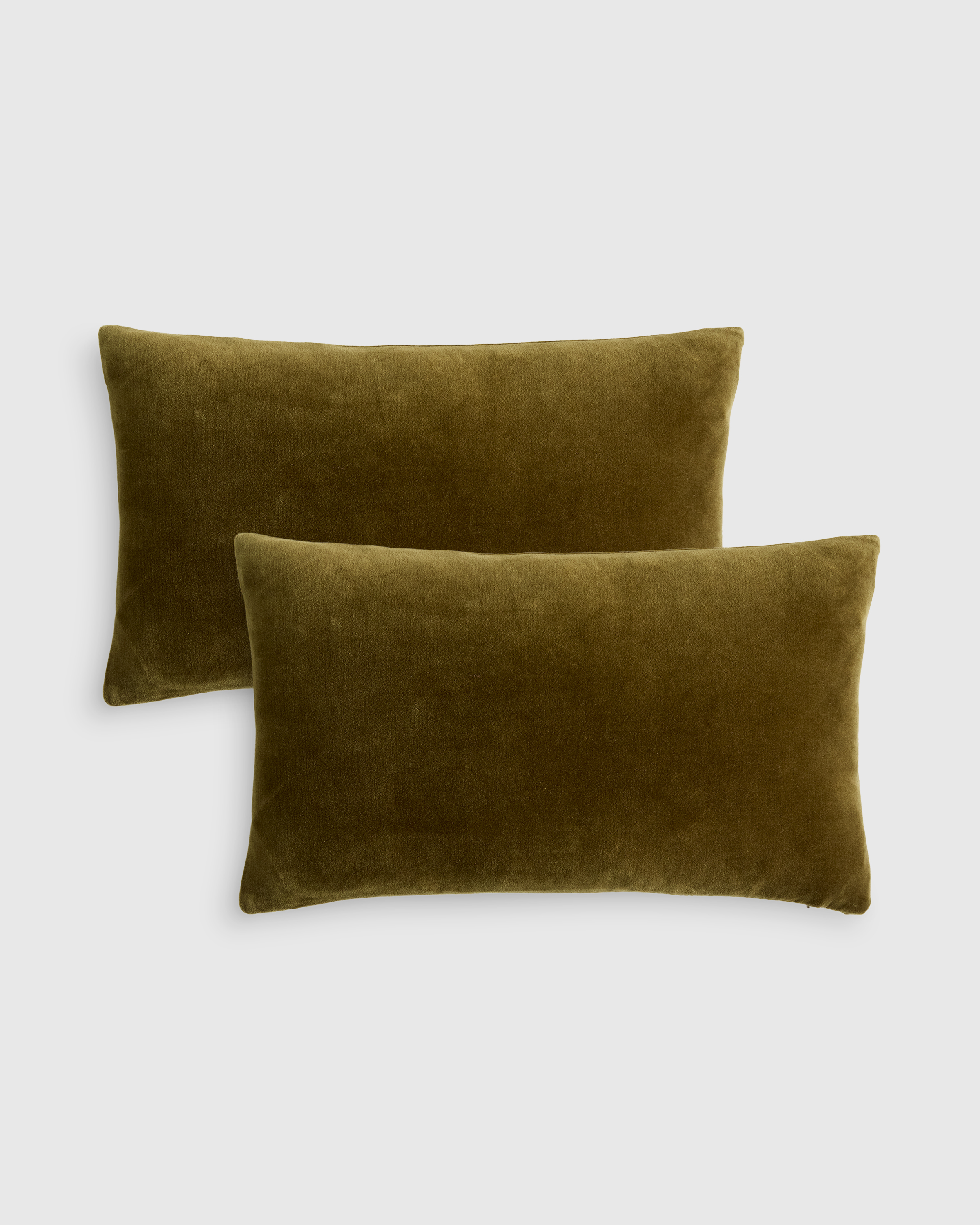 classic cotton velvet pillow cover (set of 2), olive, 20x20