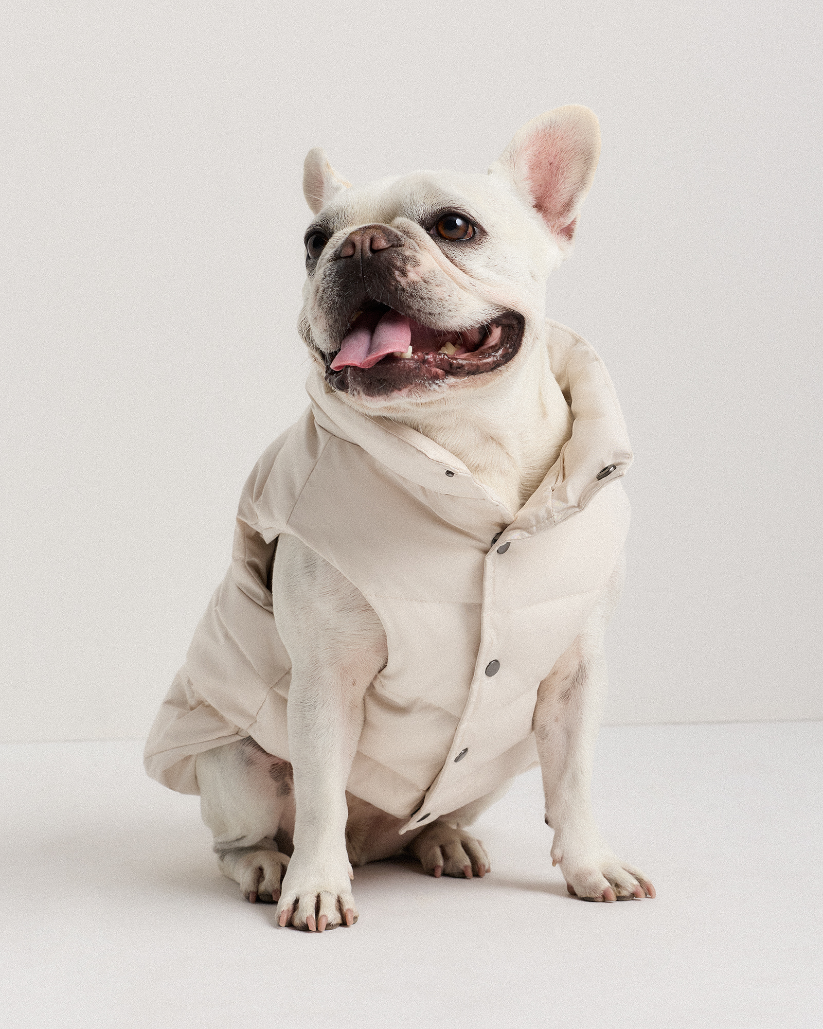 Off-White Waterproof Dog Puffer Jacket
