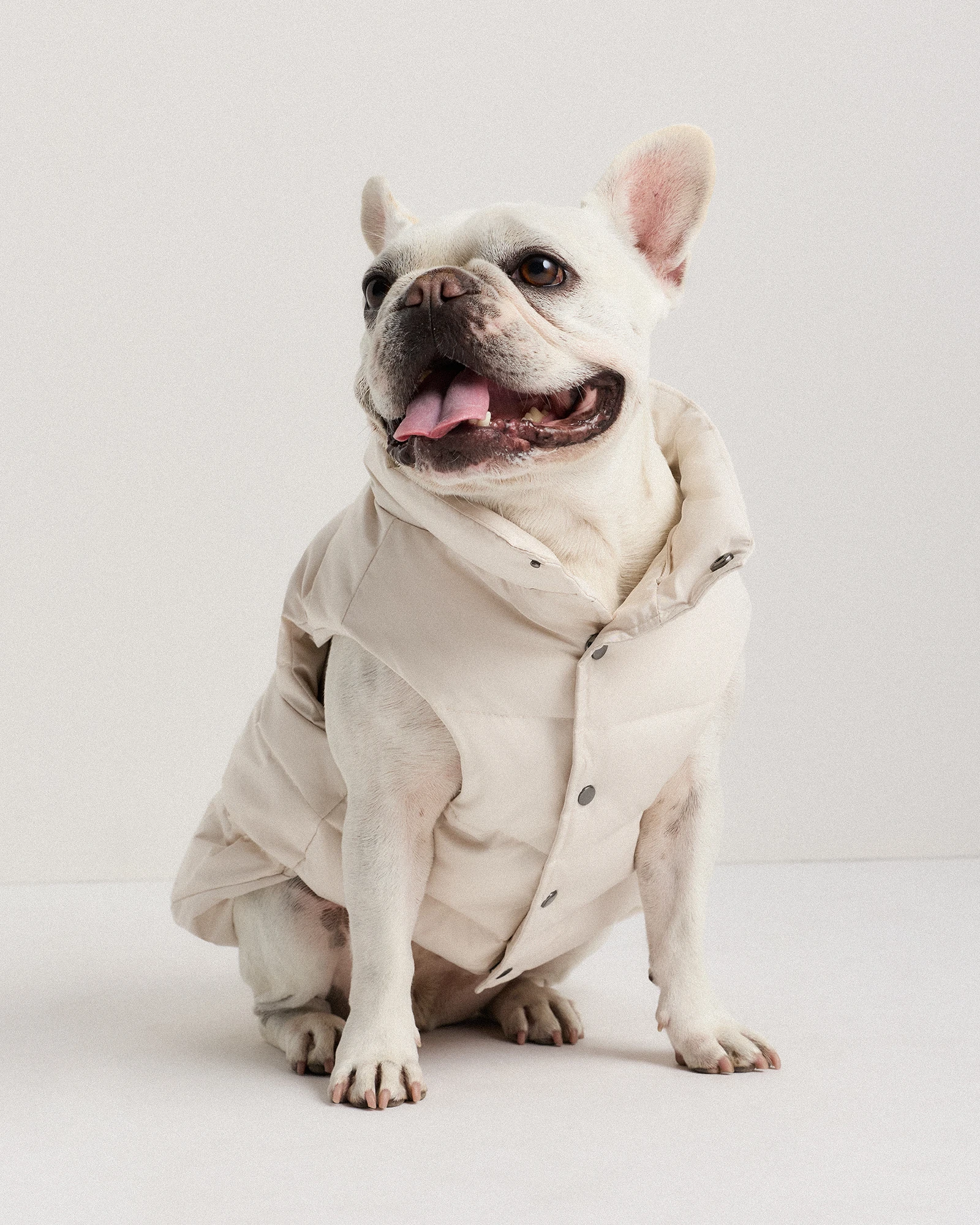 Waterproof Dog Puffer Jacket