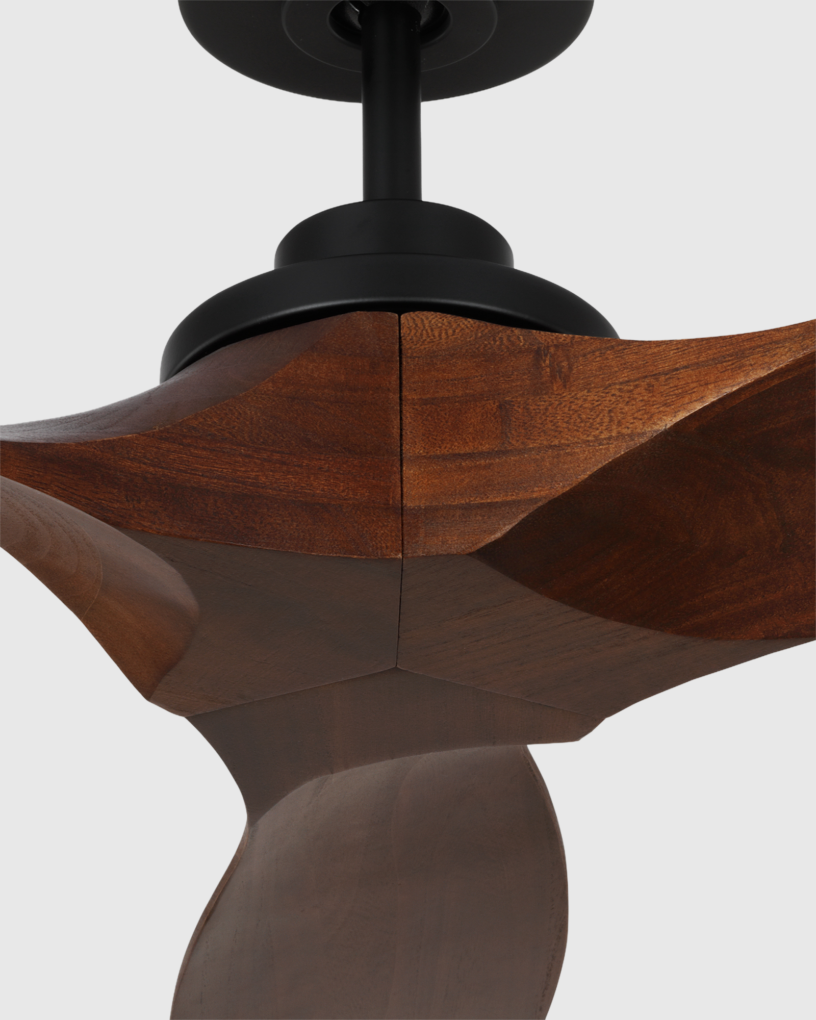U-LGHT-30 Blk Walnut(1)