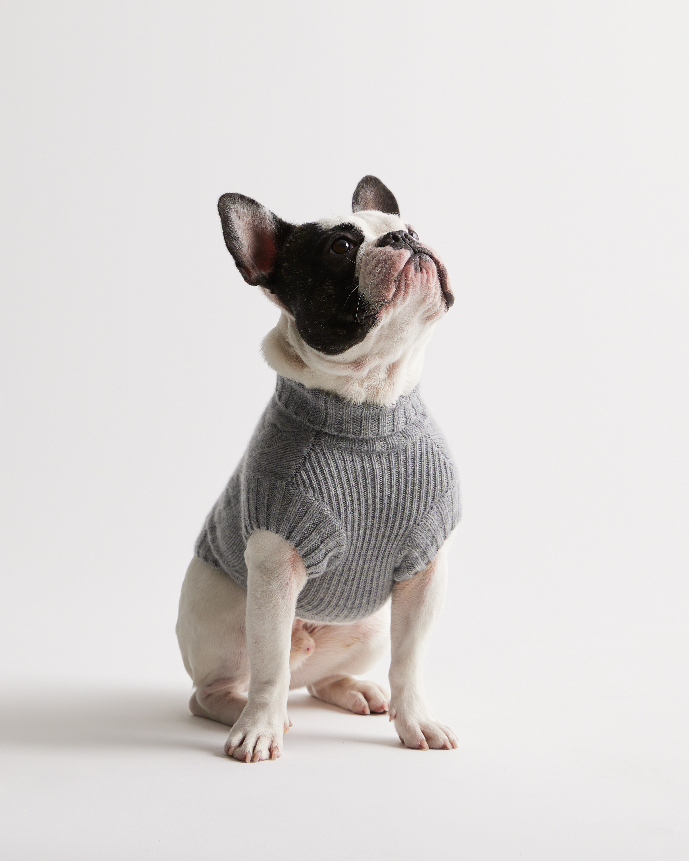 Heather Grey Mongolian Cashmere Cable Knit Dog Sweater