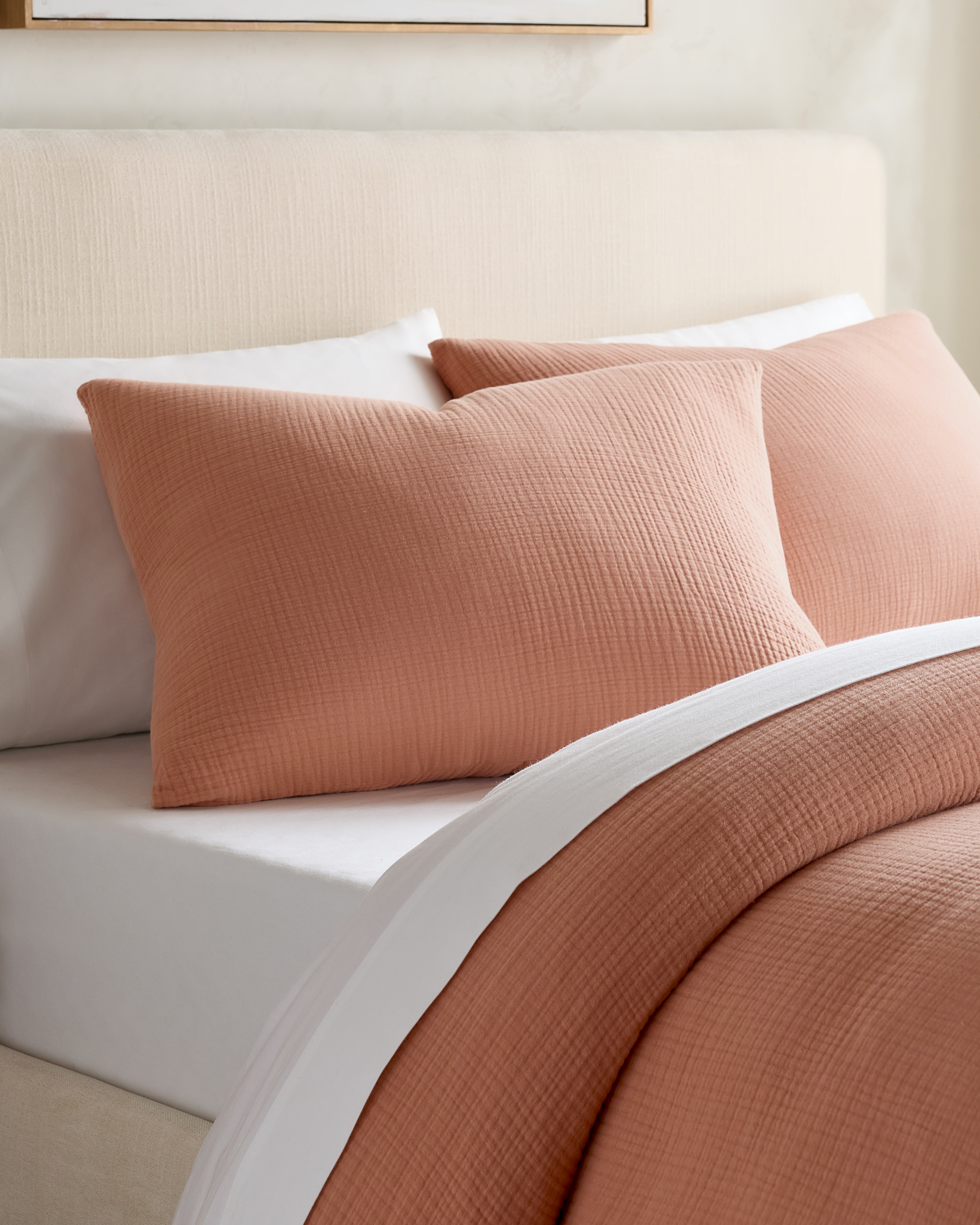Sedona Organic Cotton Gauze Sham Set