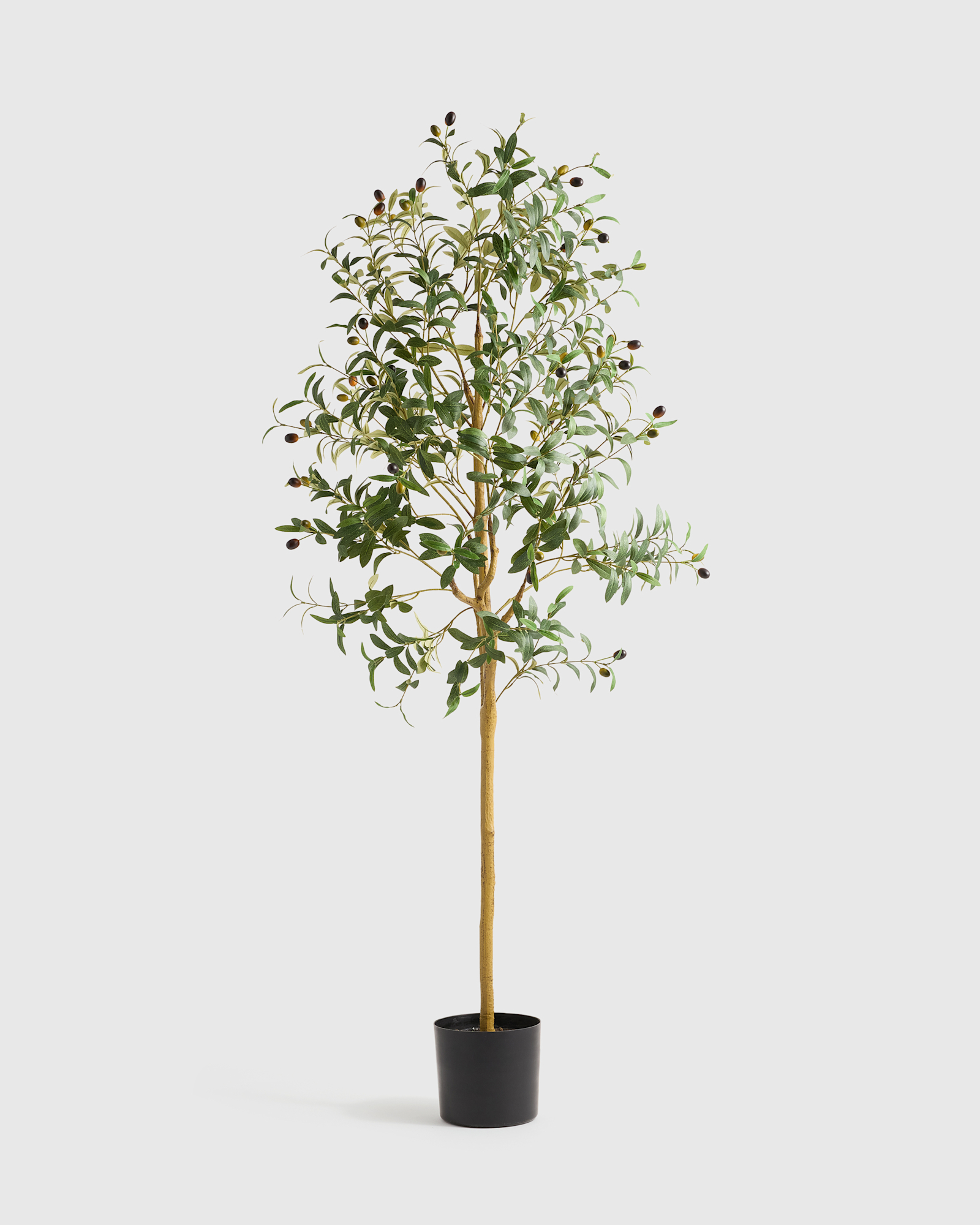 Faux Olive Tree - not selected, Green