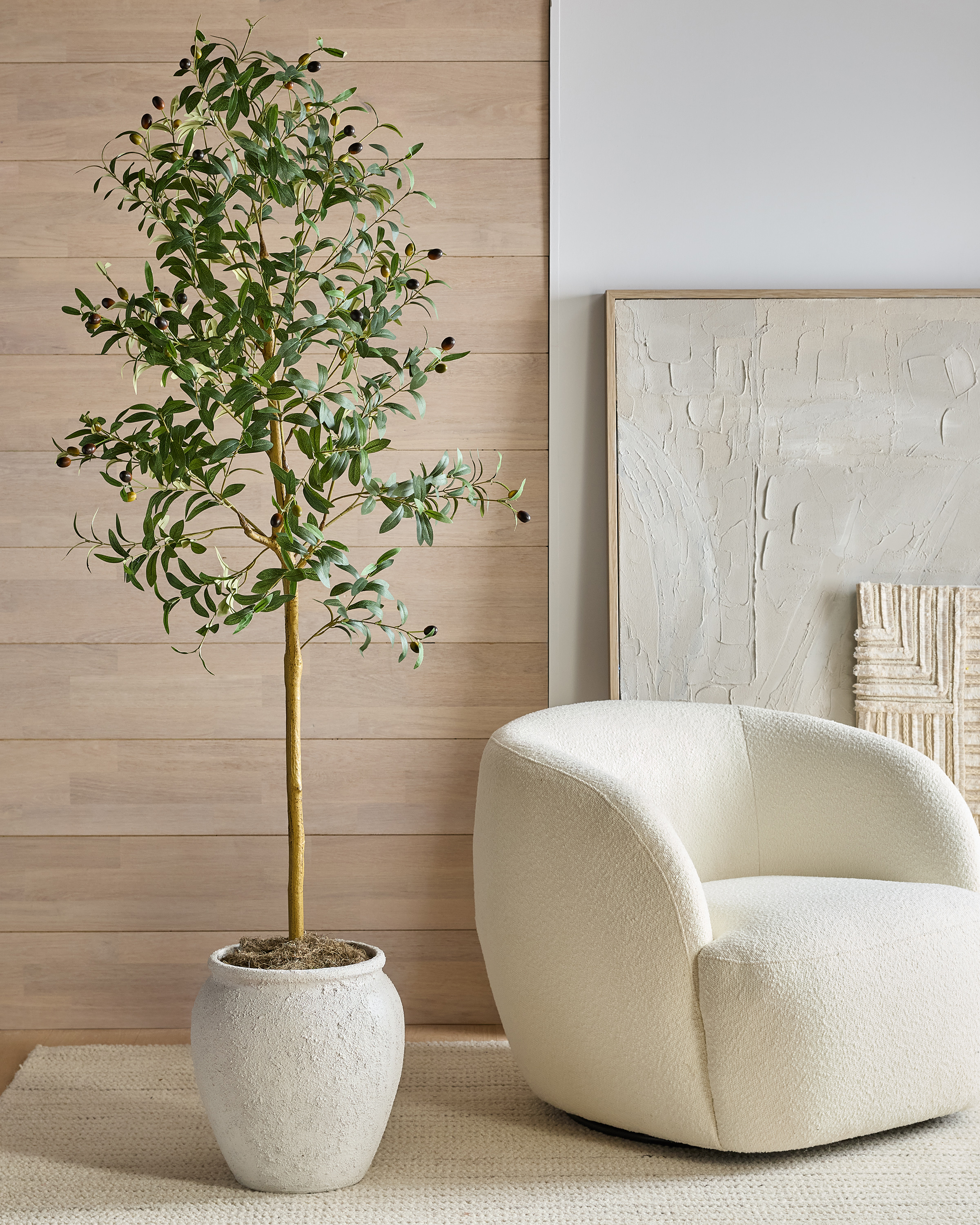 Quince Olive Tree - Thumbnail 2