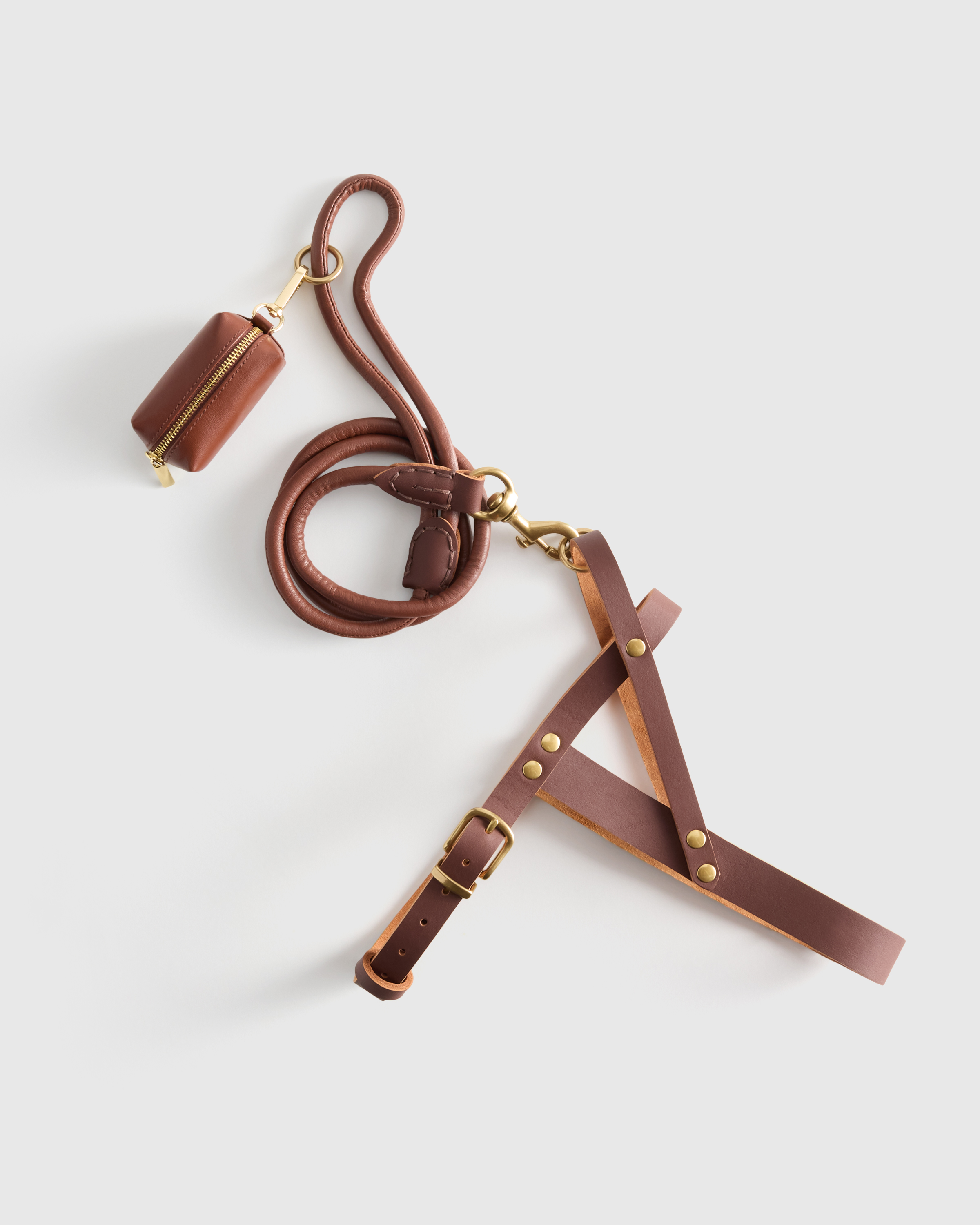 Brown Italian Leather Dog Harness Walk Kit