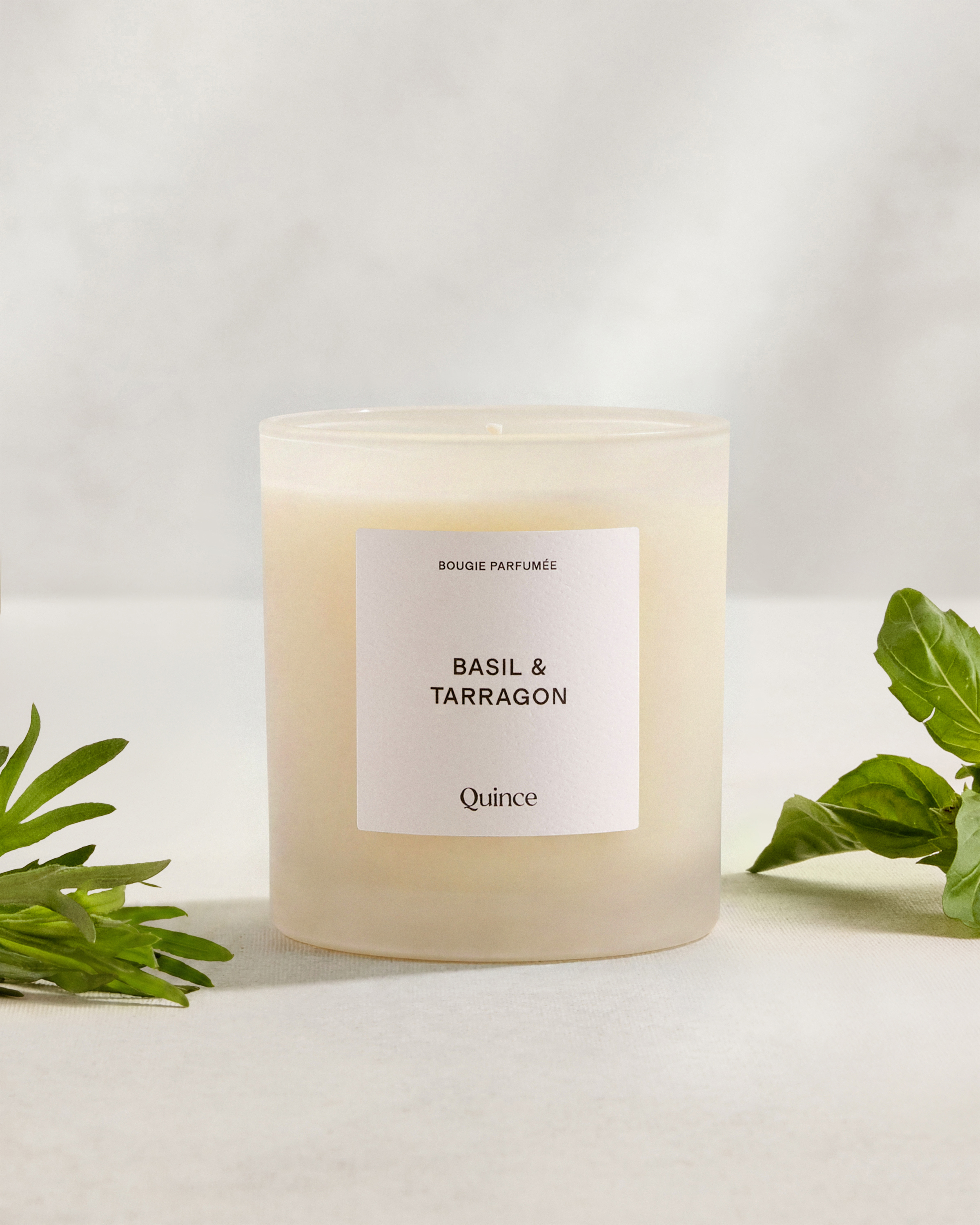 No Color Basil & Tarragon Candle