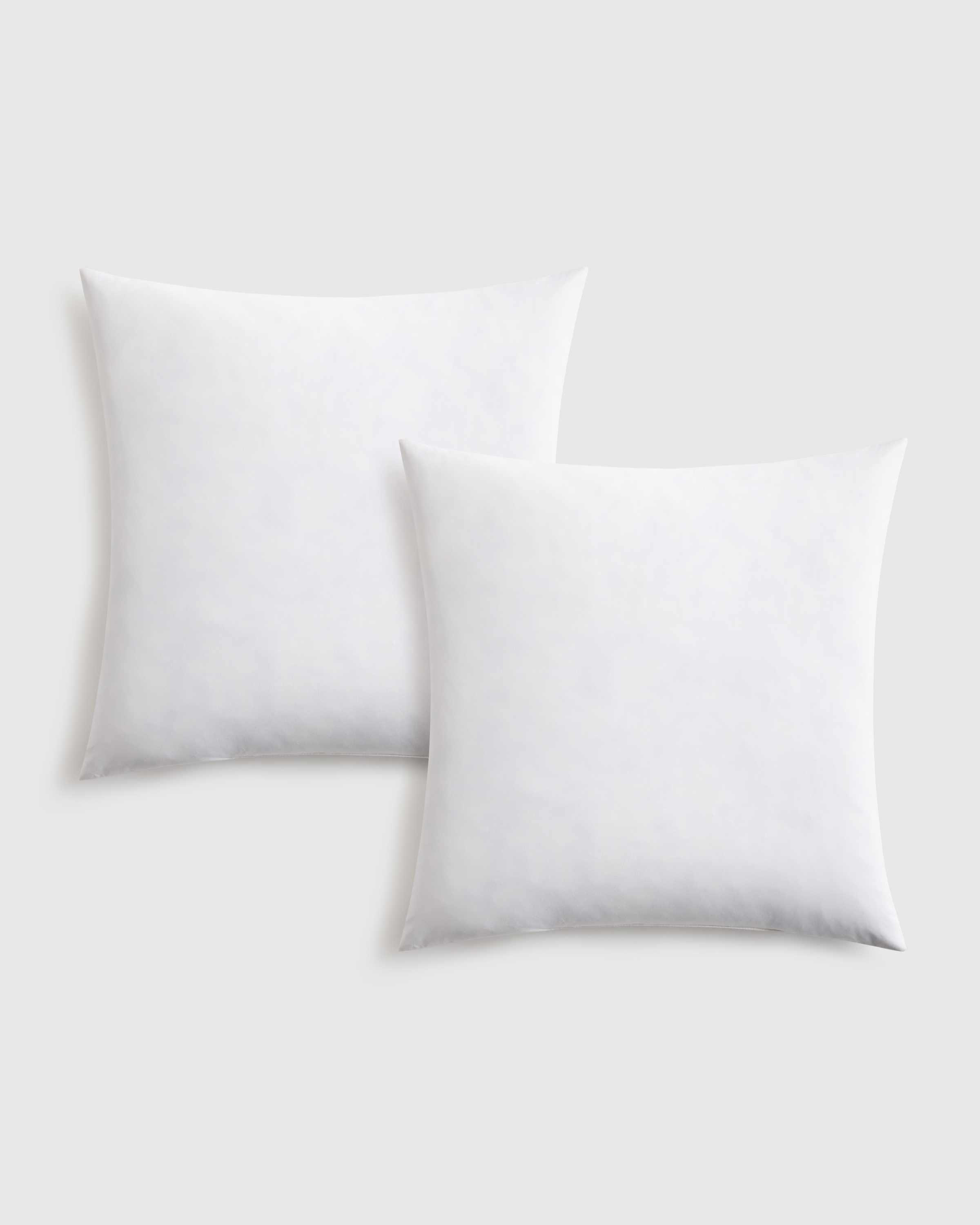 Premium Feather Pillow Insert (Set of 2) - 22x22